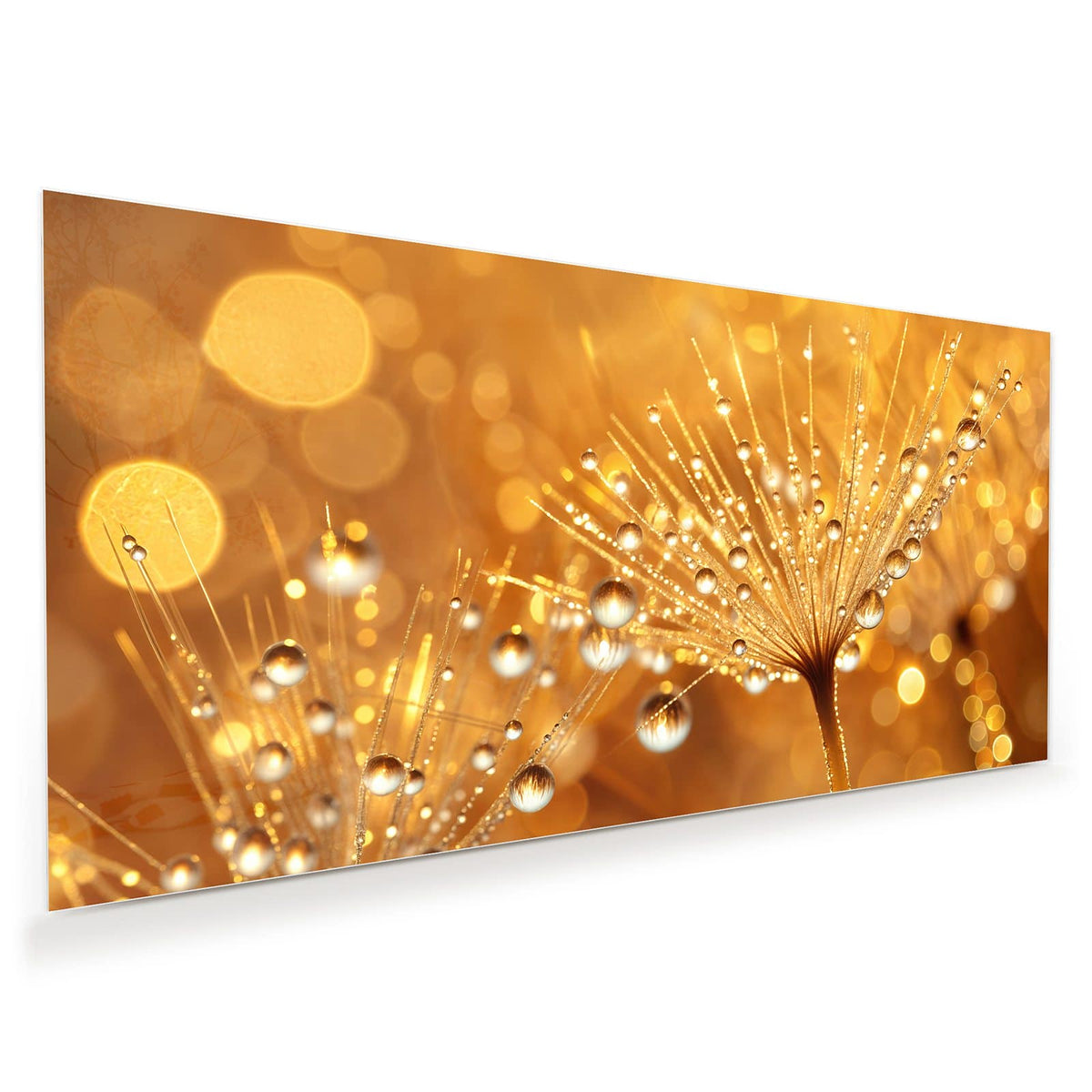 Löwenzahnschirmchen voller funkelnder Wassertropfen vor goldenen Lichtpunkten.