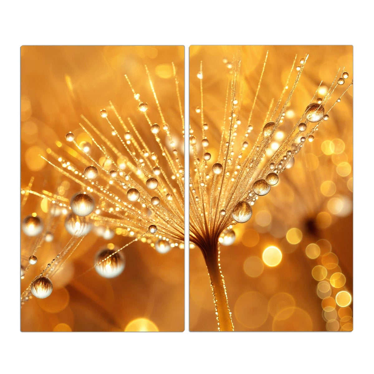 Löwenzahnschirmchen voller funkelnder Wassertropfen vor goldenen Lichtpunkten.