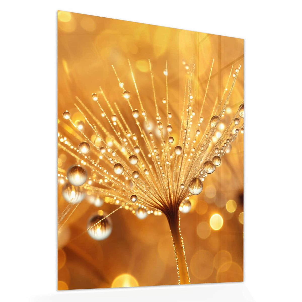 Echtglas, 4 mm – kein Acryl, keine Folie – Wandbild - Pusteblume voll Tau - Hochformat