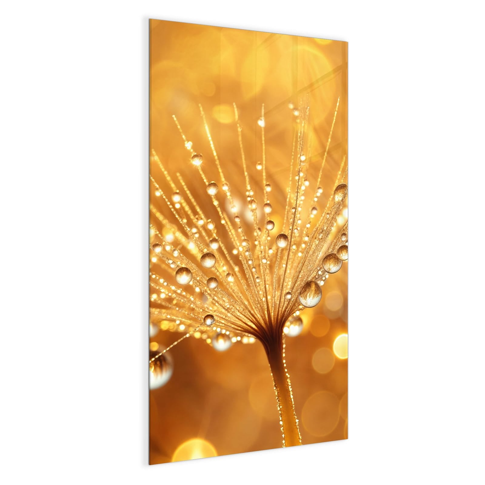 #grösse_50 x 100 cm