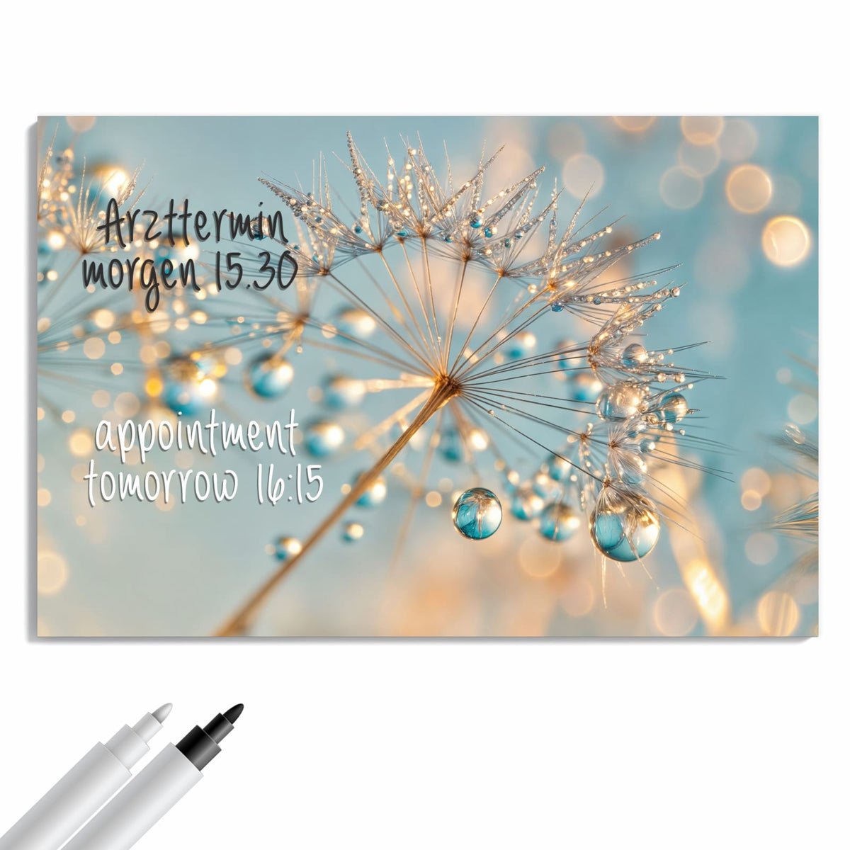 Beschreiben, abwischen, anheften – Metall Magnettafel - Pusteblume am Himmel
