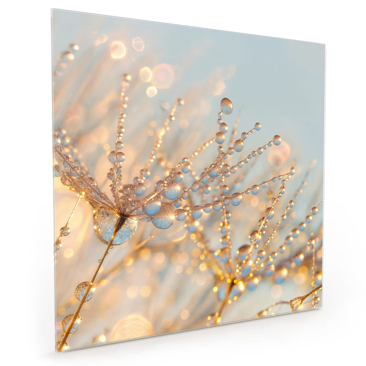 #grösse_40 x 40 cm #grösse_50 x 50 cm #grösse_60 x 60 cm