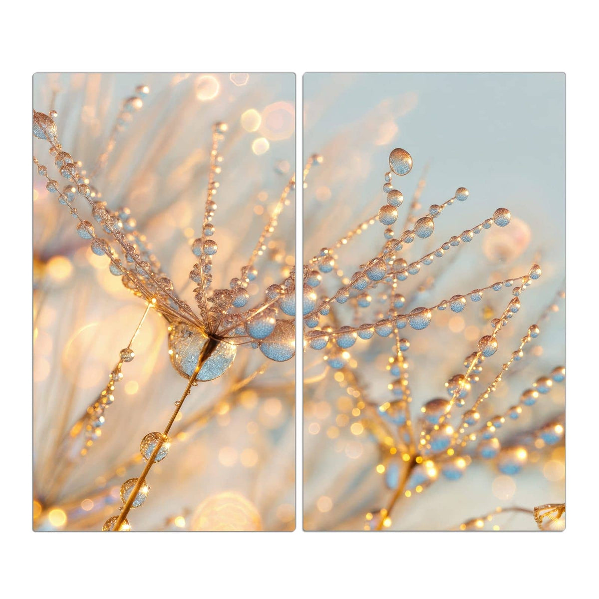 Makro von Pusteblumenschirmchen voller glitzernder Tautropfen vor hellblau-goldenem Licht