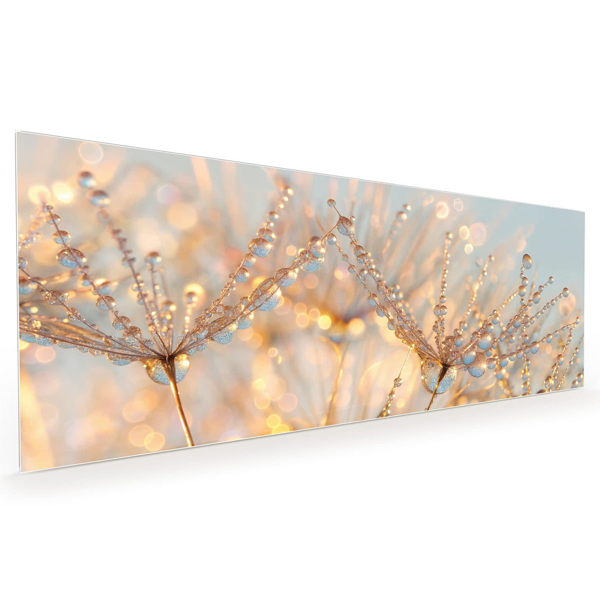 #grösse_40 x 100 cm #grösse_50 x 125 cm #grösse_60 x 150 cm