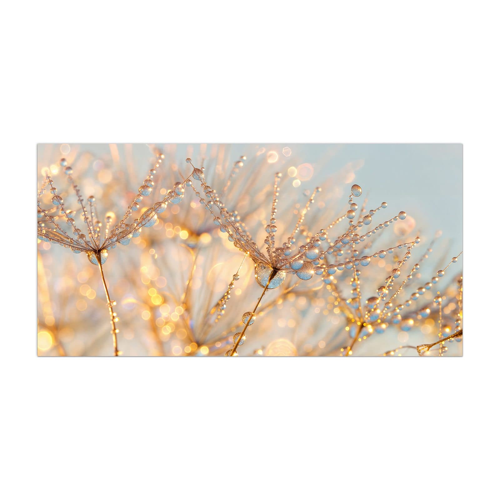 #grösse_40 x 80 cm #grösse_50 x 100 cm #grösse_55 x 110 cm #grösse_60 x 120 cm