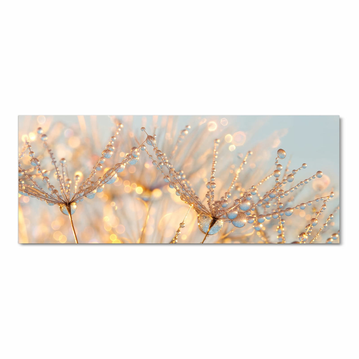 Makro von Pusteblumenschirmchen voller glitzernder Tautropfen vor hellblau-goldenem Licht
