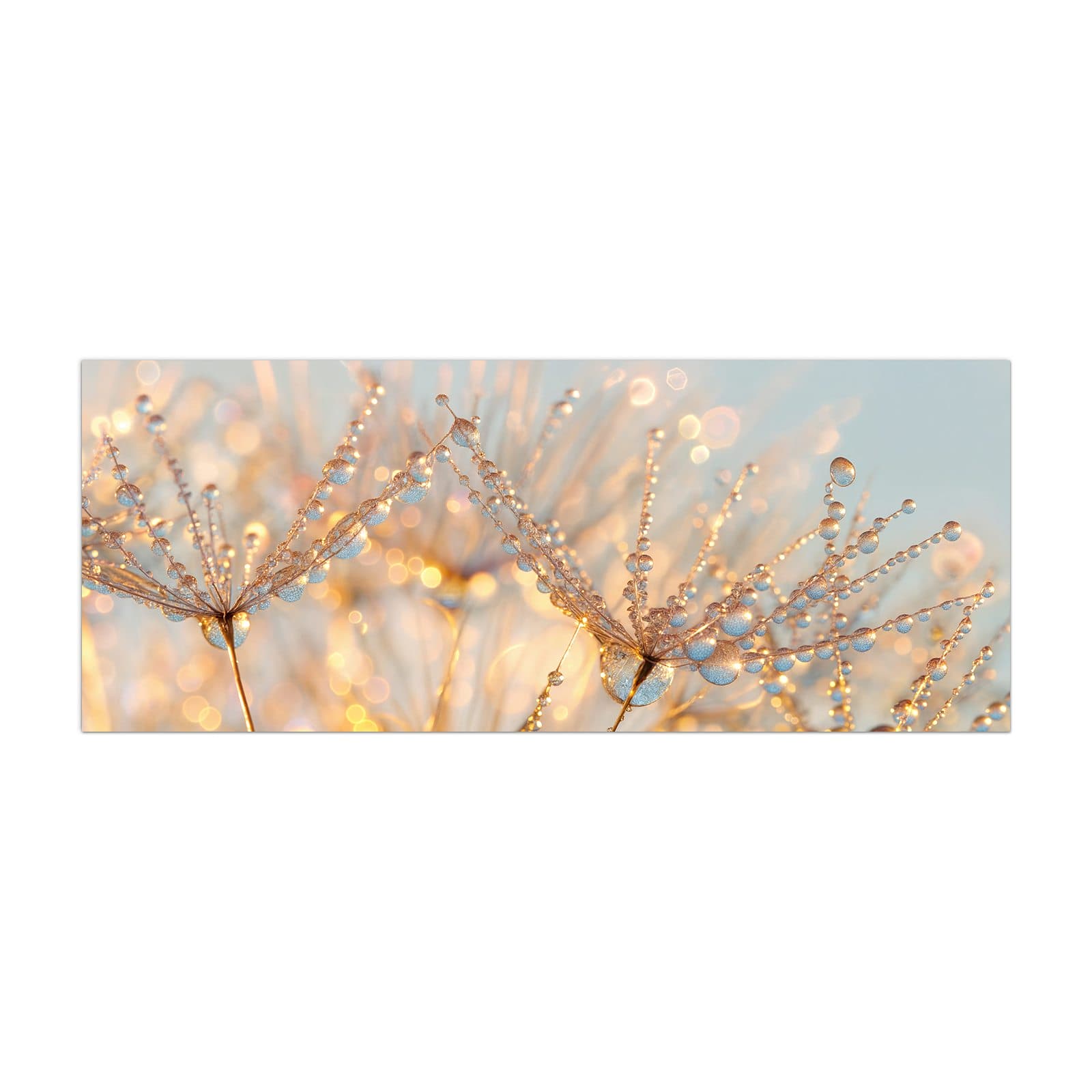 #grösse_40 x 100 cm #grösse_50 x 125 cm #grösse_60 x 150 cm