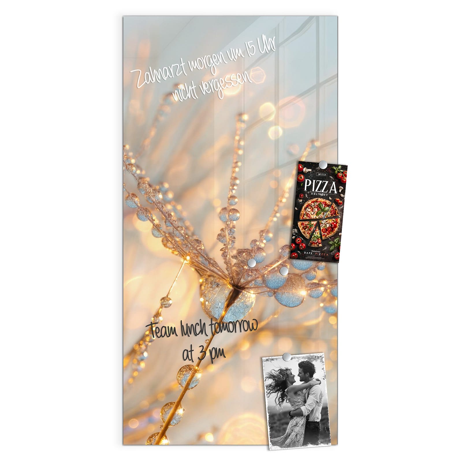 #grösse_50 x 100 cm