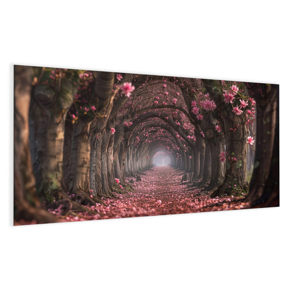 Allee aus verwachsenen Bäumen, die einen Tunnel bilden, Boden und Kronen voller rosa Blüten