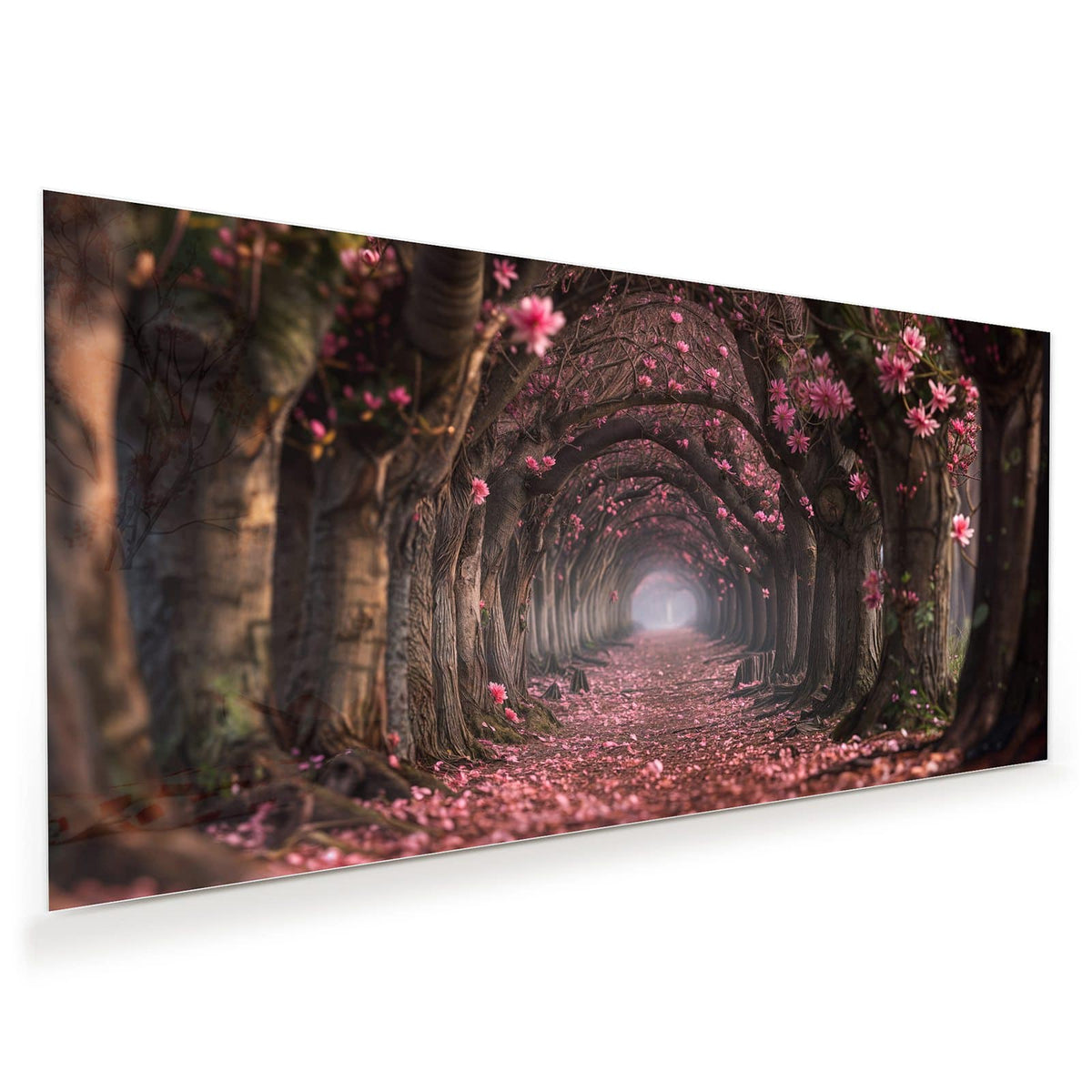 Allee aus verwachsenen Bäumen, die einen Tunnel bilden, Boden und Kronen voller rosa Blüten