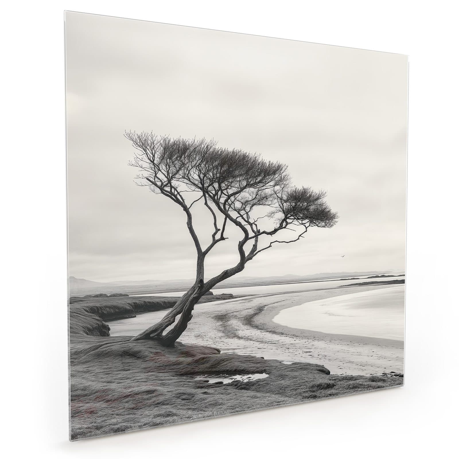 #70 x 70 cm_