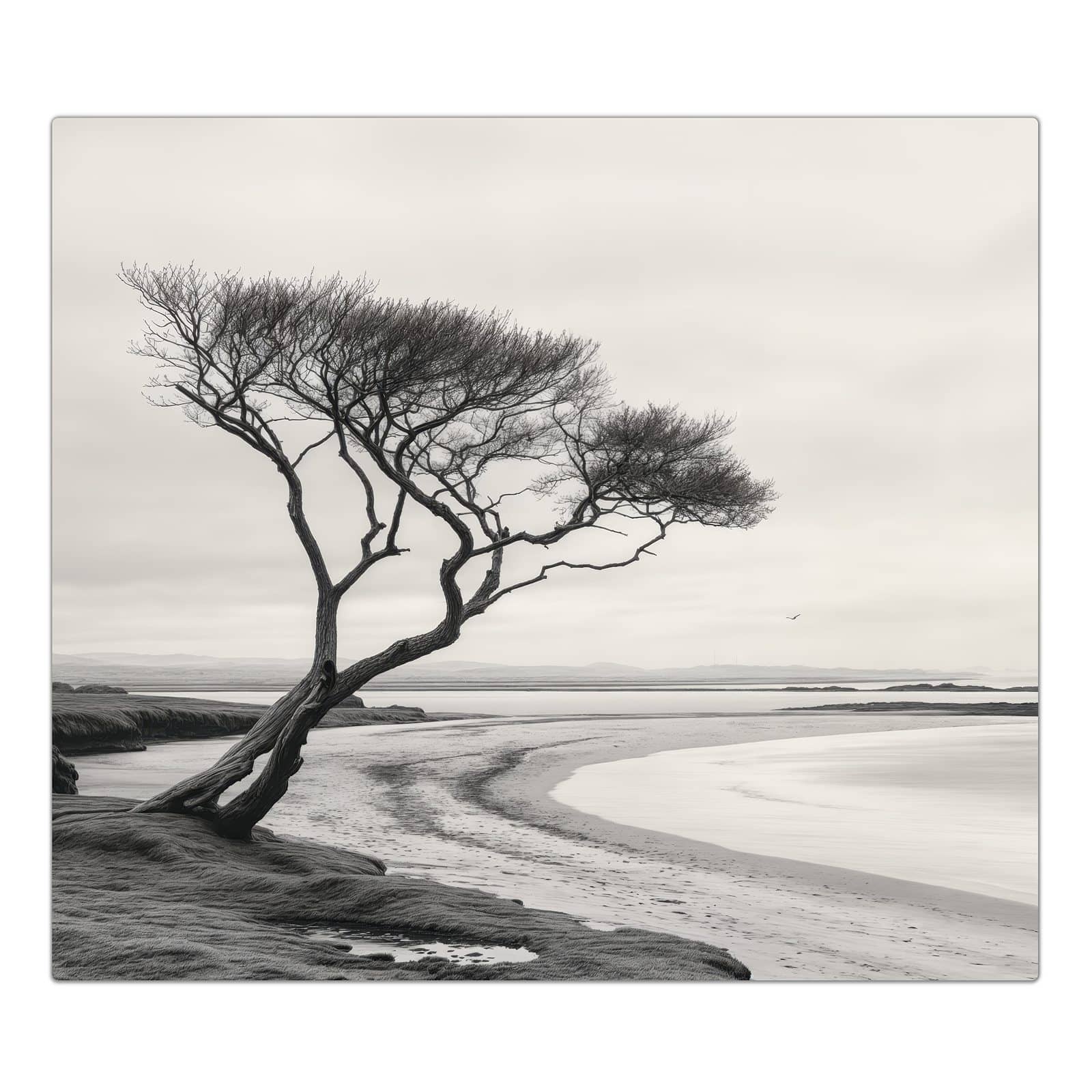 1-teilige Herdabdeckplatte mit Einsamer Baum am Meer-Motiv in der Frontansicht #grösse_1-Teilig (60x52cm)