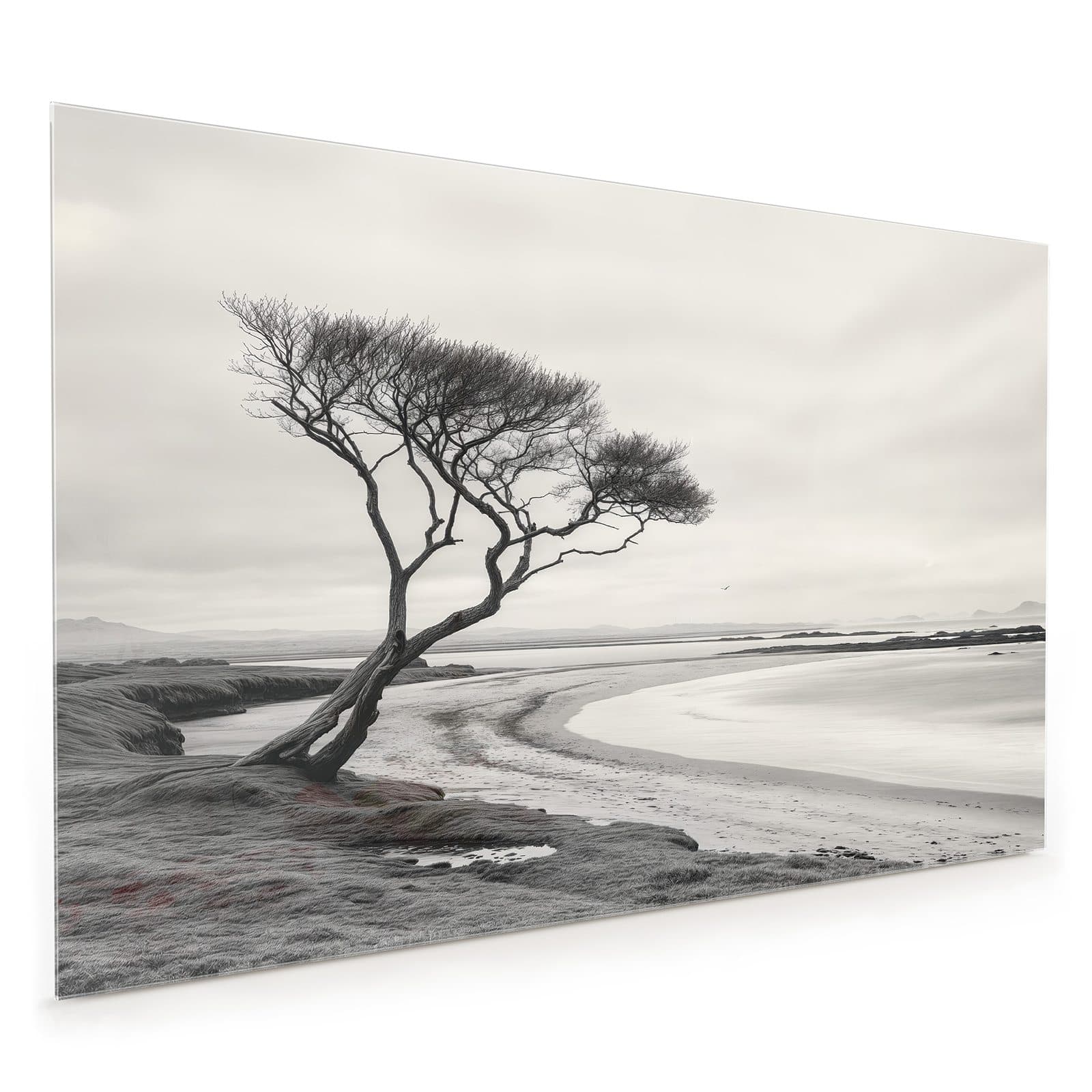 #80 x 120 cm_