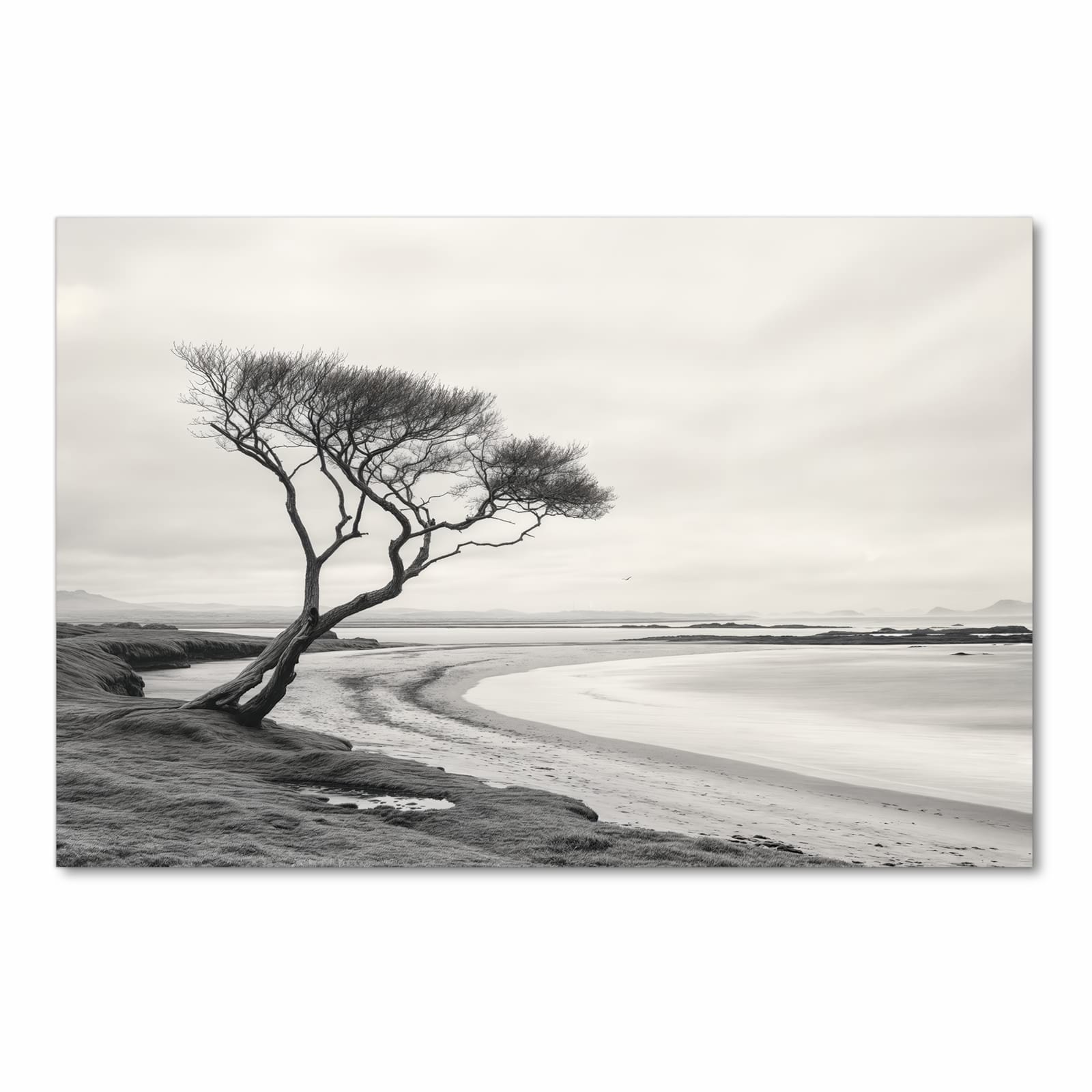 Langlebiger Küchenvorleger mit Motiv Einsamer Baum am Meer in Frontansicht