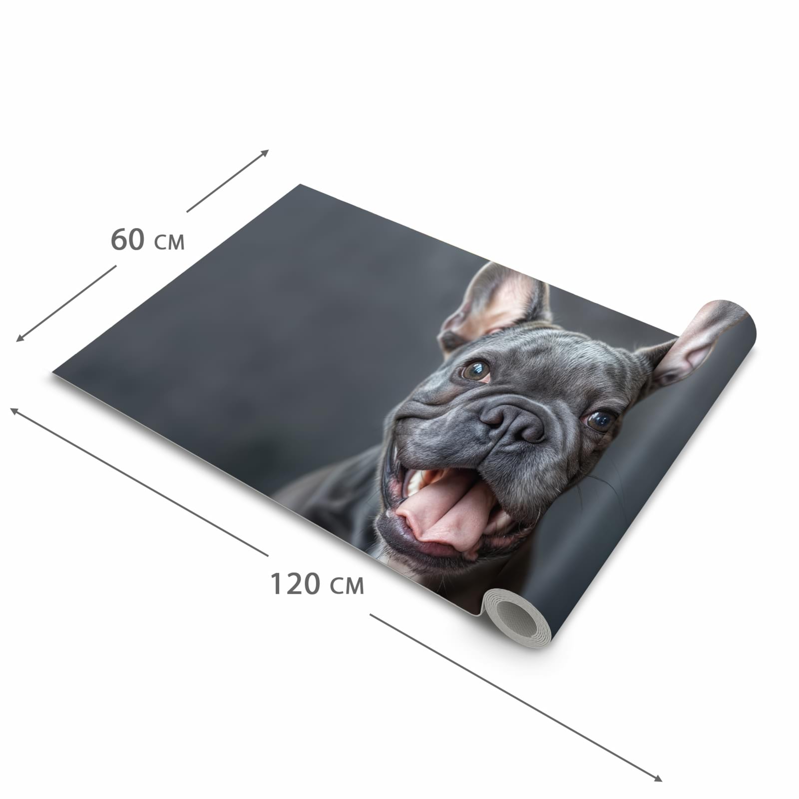 Geräuschdämpfender Teppich für die Küche mit Motiv Lachender Hund in der Größe 60x180 cm