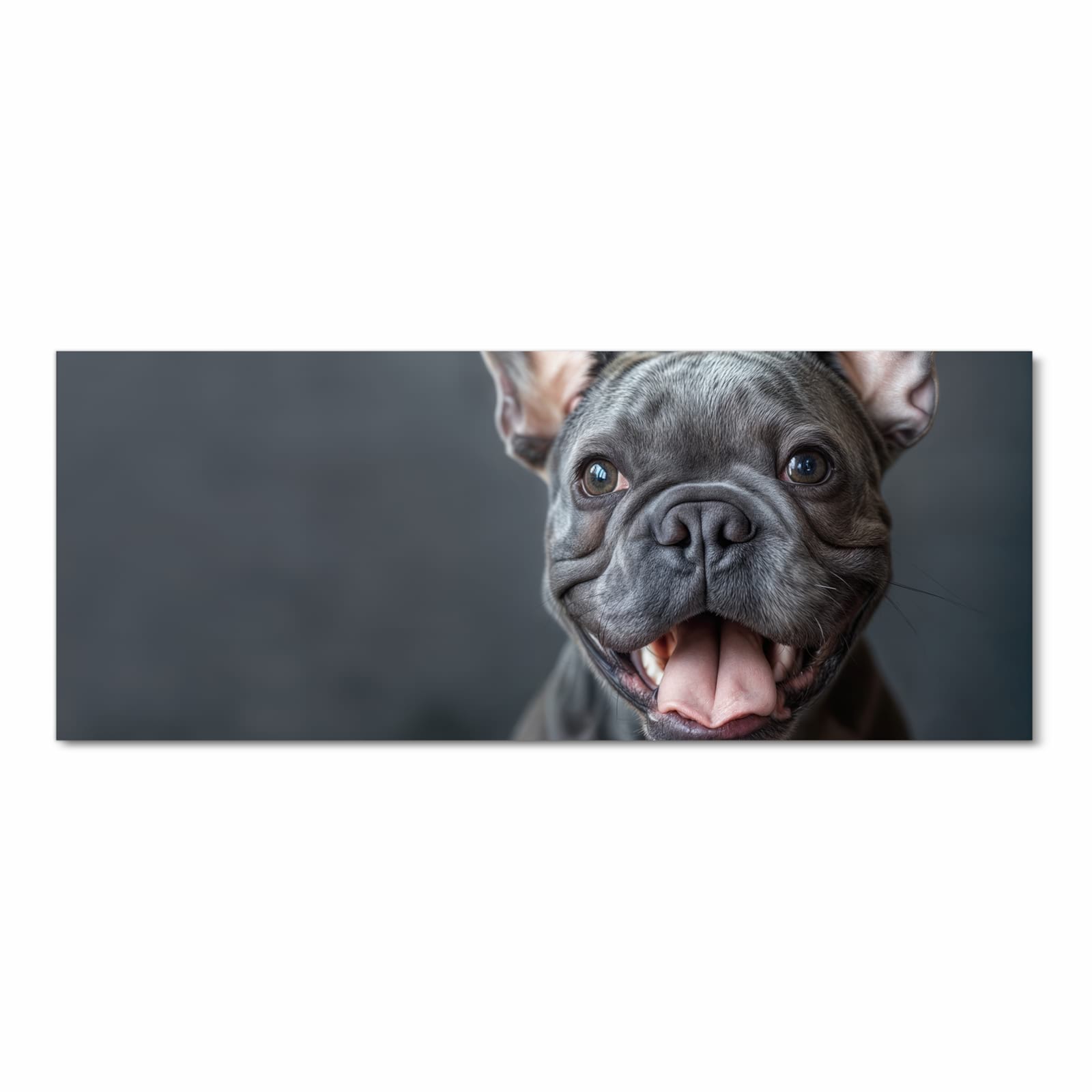 Geräuschdämpfender Küchenteppich mit Motiv Lachender Hund in Frontansicht