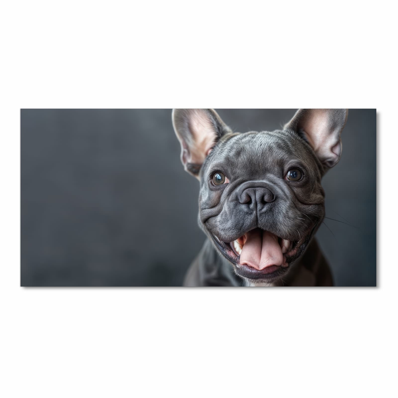 Zeitsparender rutschfester Küchenteppich mit Motiv Lachender Hund in Frontansicht