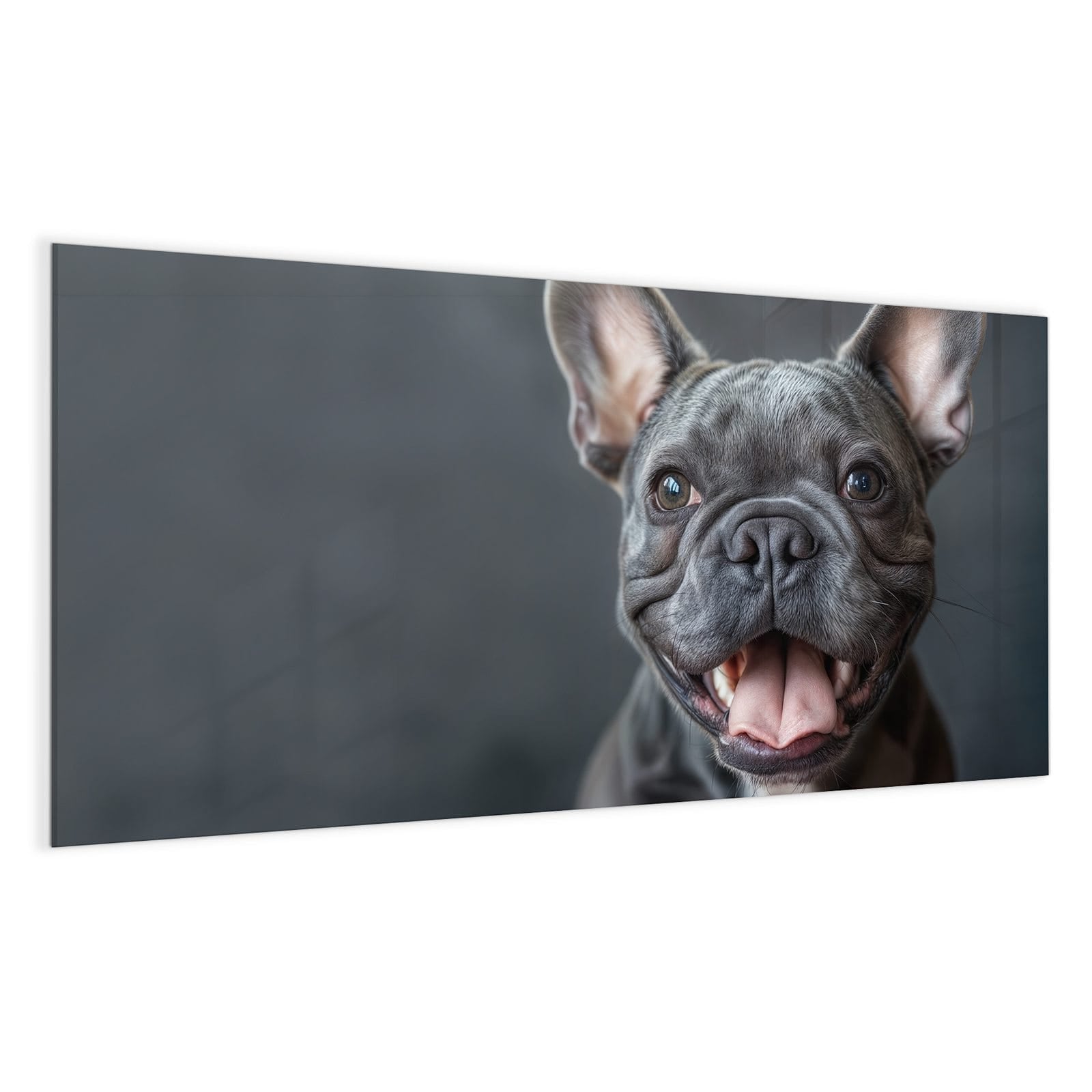 #grösse_100 x 50 cm