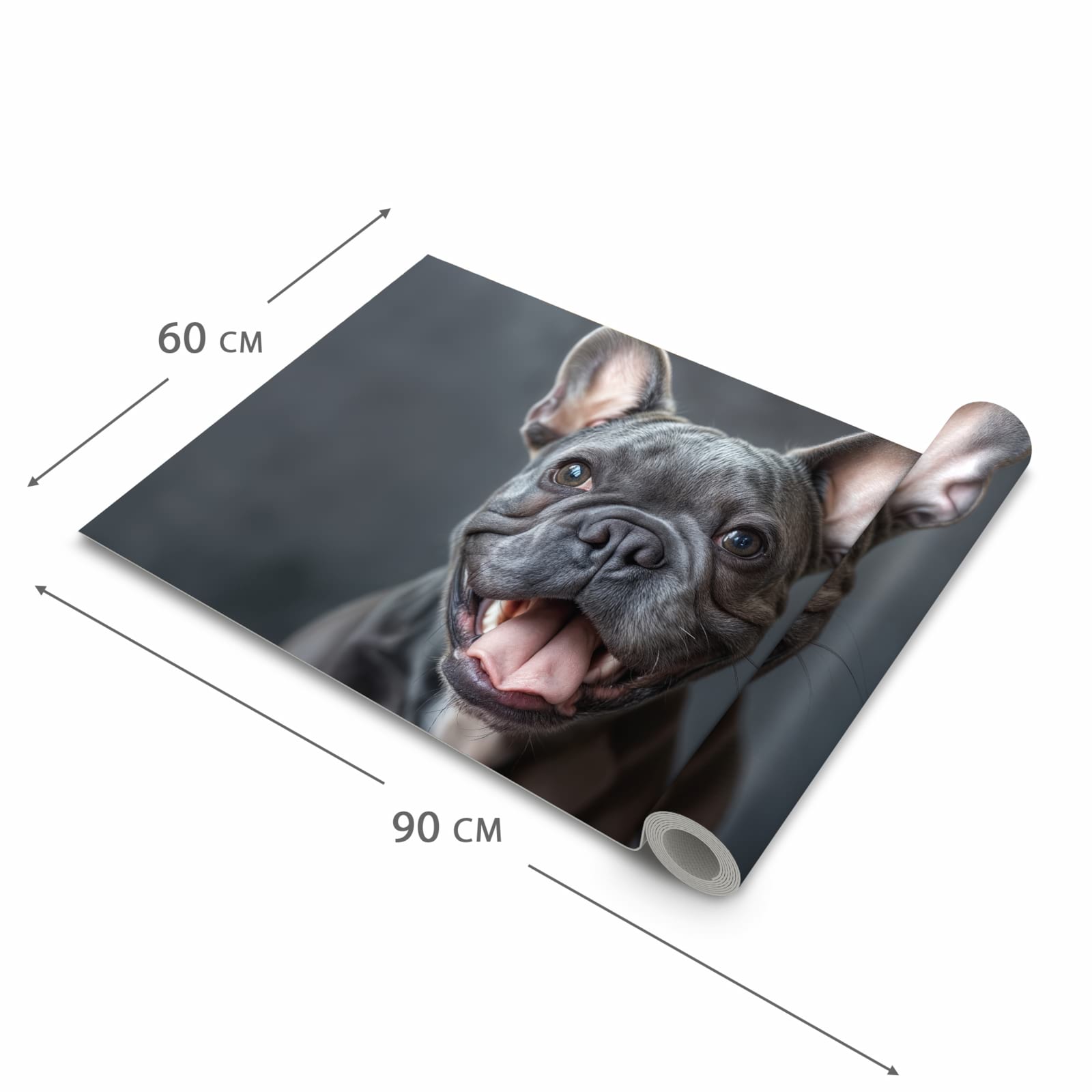 Schmutzabweisender Küchenteppich mit Motiv Lachender Hund in der Grösse 60x180 cm