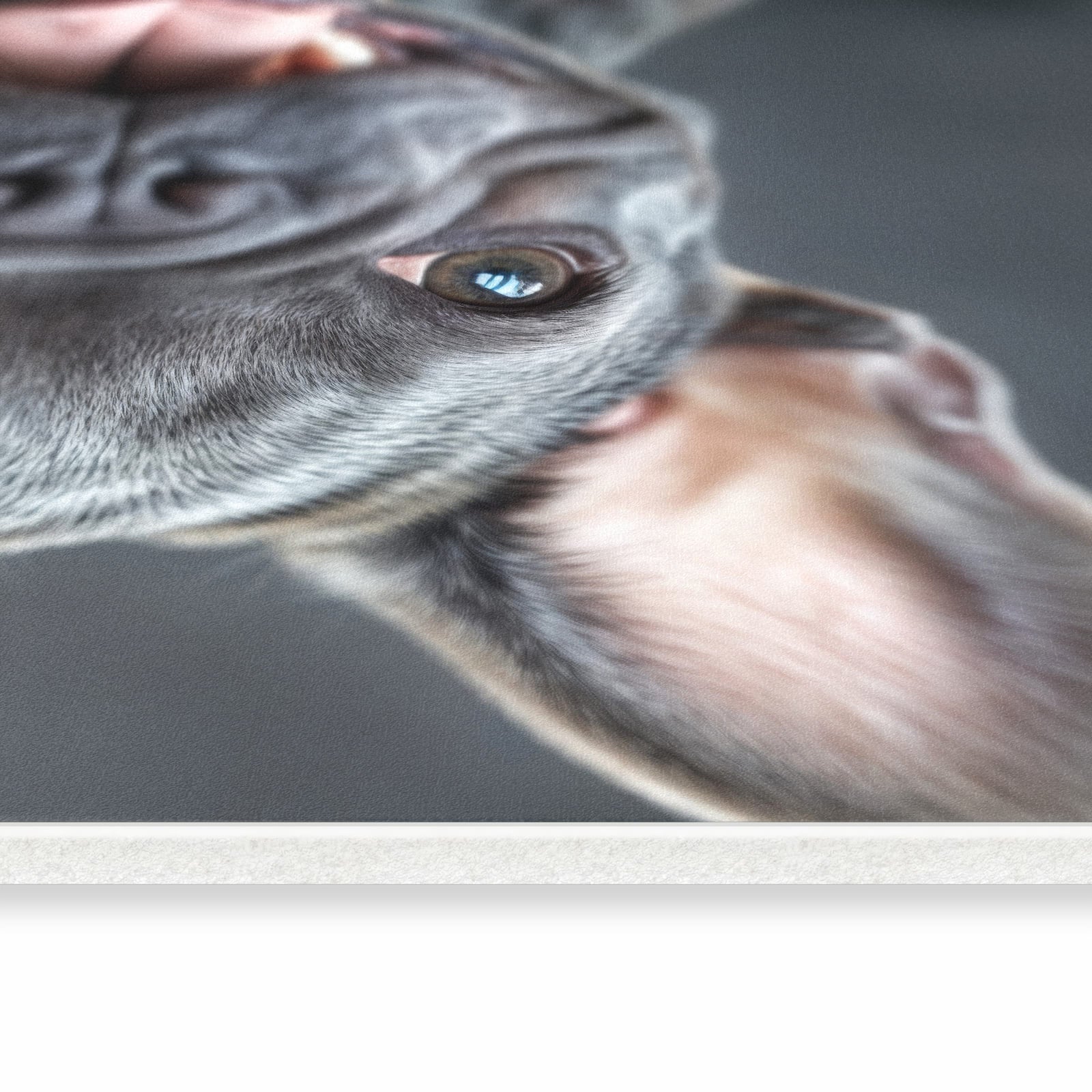 Küchenläufer - Lachender Hund