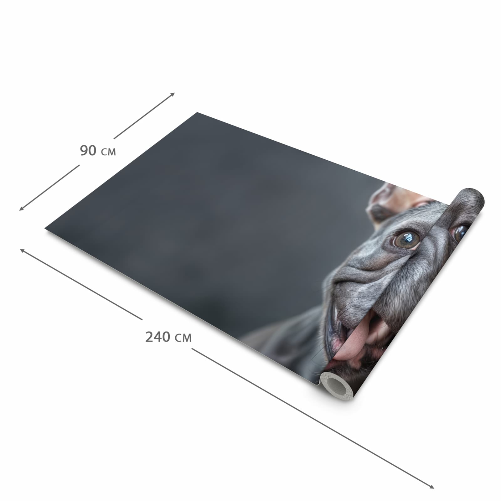 Rutschfester Teppichläufer für die Küche mit Motiv Lachender Hund in der Grösse 60x240 cm