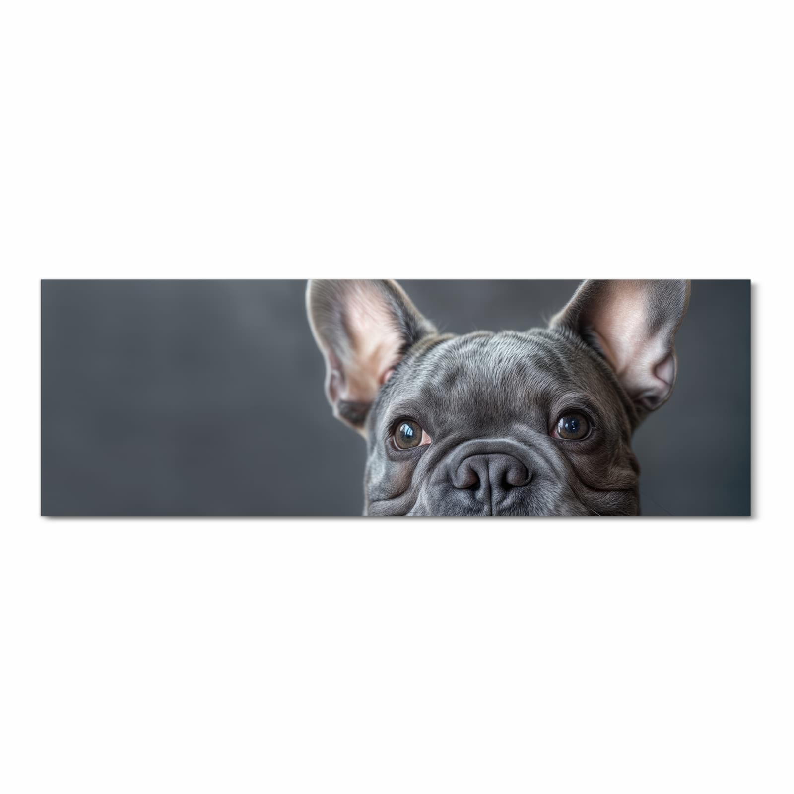 #grösse_60 x 180 cm