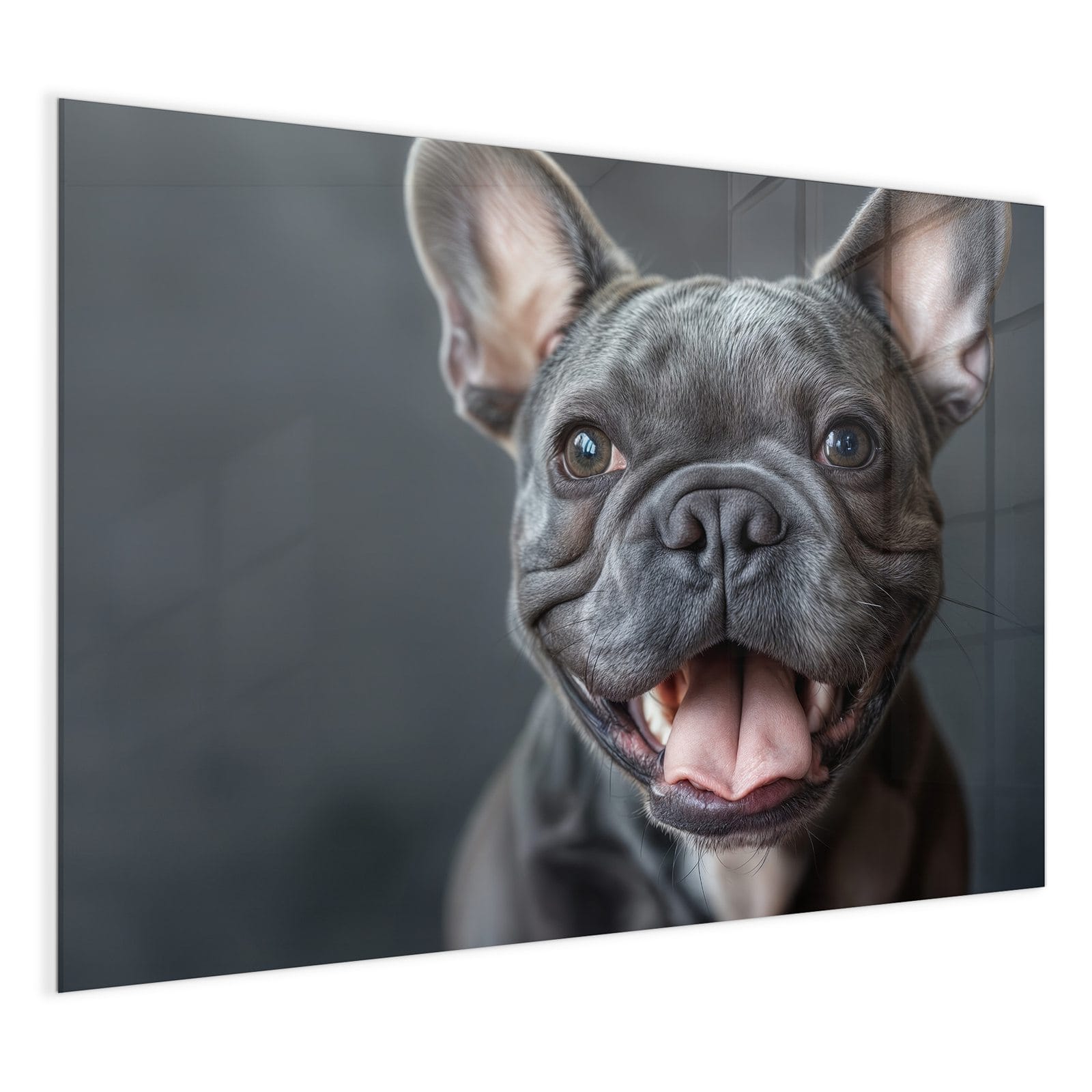 #grösse_120 x 90 cm