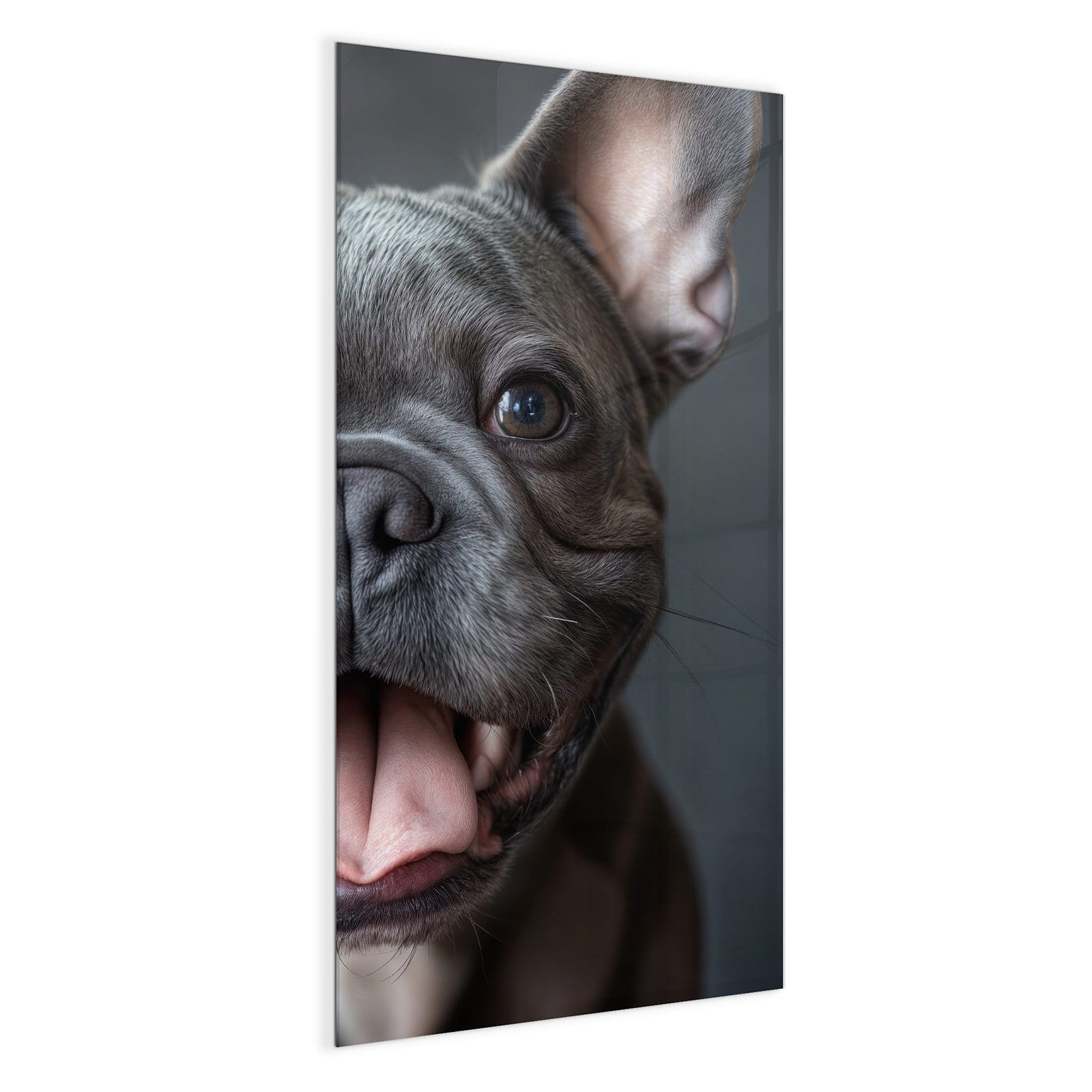 #grösse_50 x 100 cm