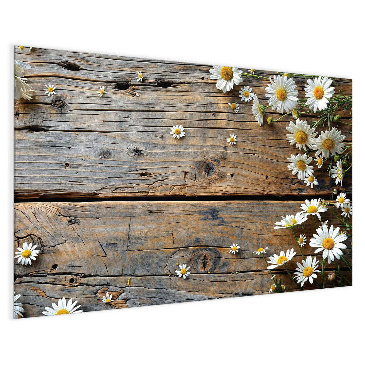 4 mm Glas statt lackiertem Blech – Magnettafel - Gänseblümchen auf Holz