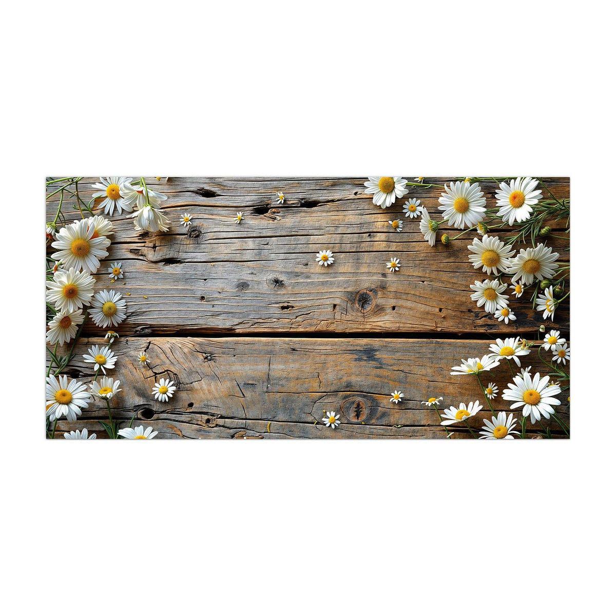 Küchenrückwand aus Glas Gänseblümchen auf Holz im Hochformat, Motiv bildfüllend von vorn