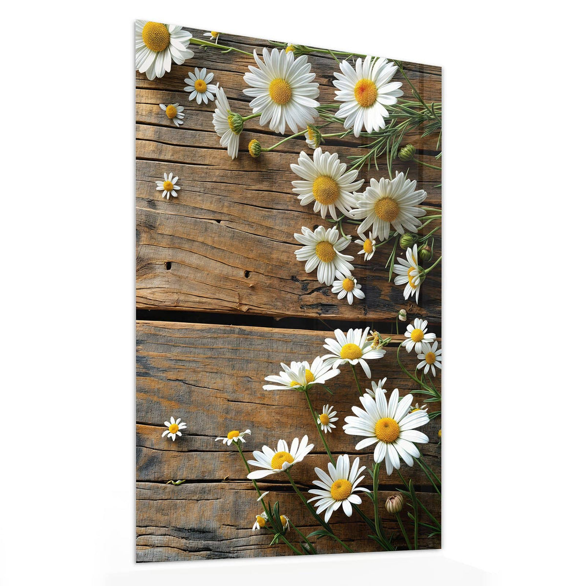 11 Größen – von 30 × 60 bis 60 × 150 cm – Wandbild - Gänseblümchen auf Holz - Hochformat