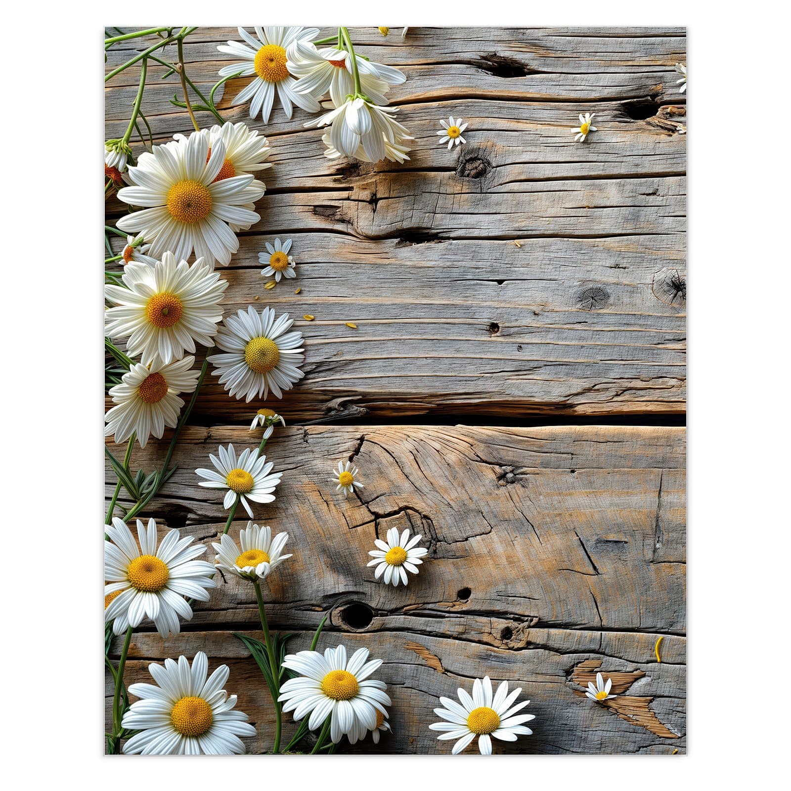 #grösse_60 x 75 cm #grösse_80 x 100 cm
