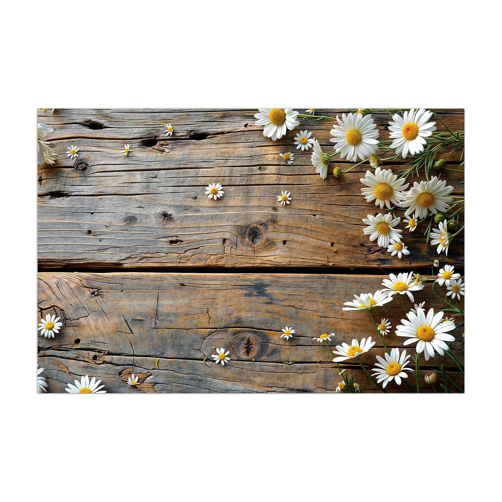 #grösse_40 x 60 cm #grösse_50 x 75 cm #grösse_60 x 90 cm #grösse_80 x 120 cm