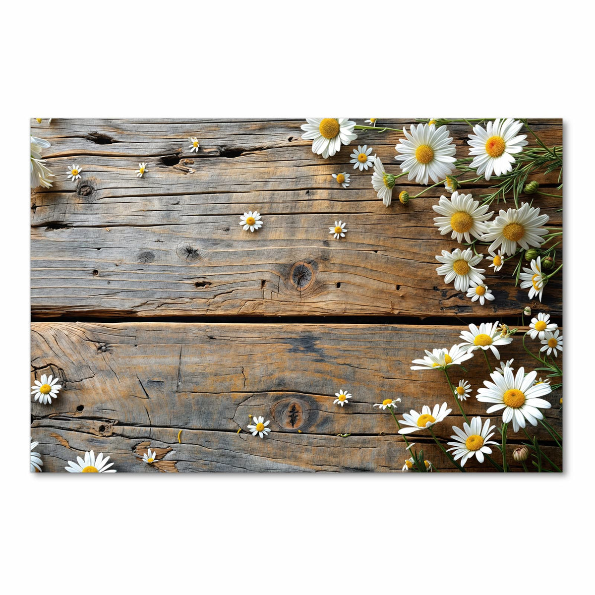 Pflegeleichter langer Teppich mit Motiv Holz und Gänseblümchen in Frontansicht für den Flur