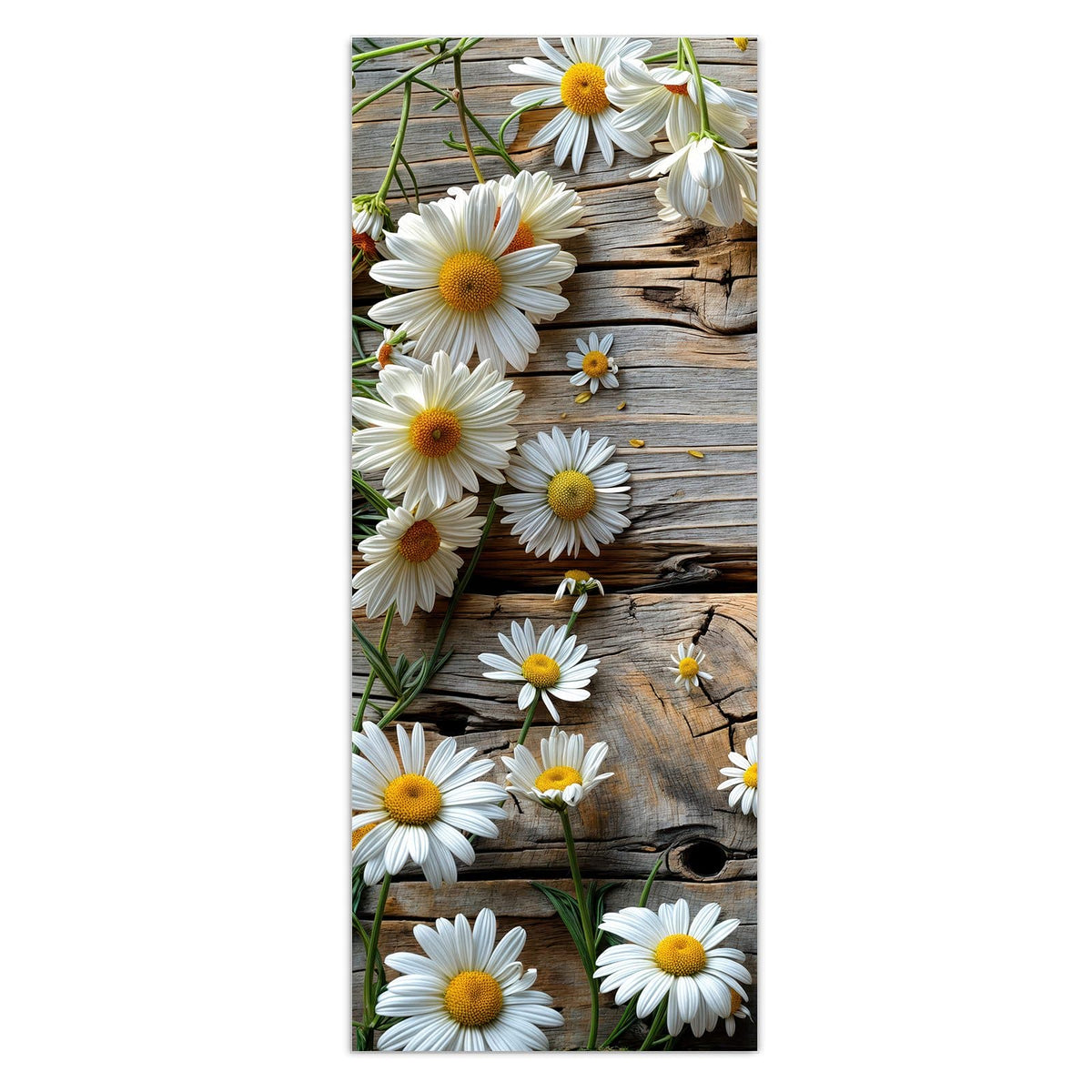 Wandbild - Gänseblümchen auf Holz - Hochformat – Gänseblümchen auf verwittertem Holz