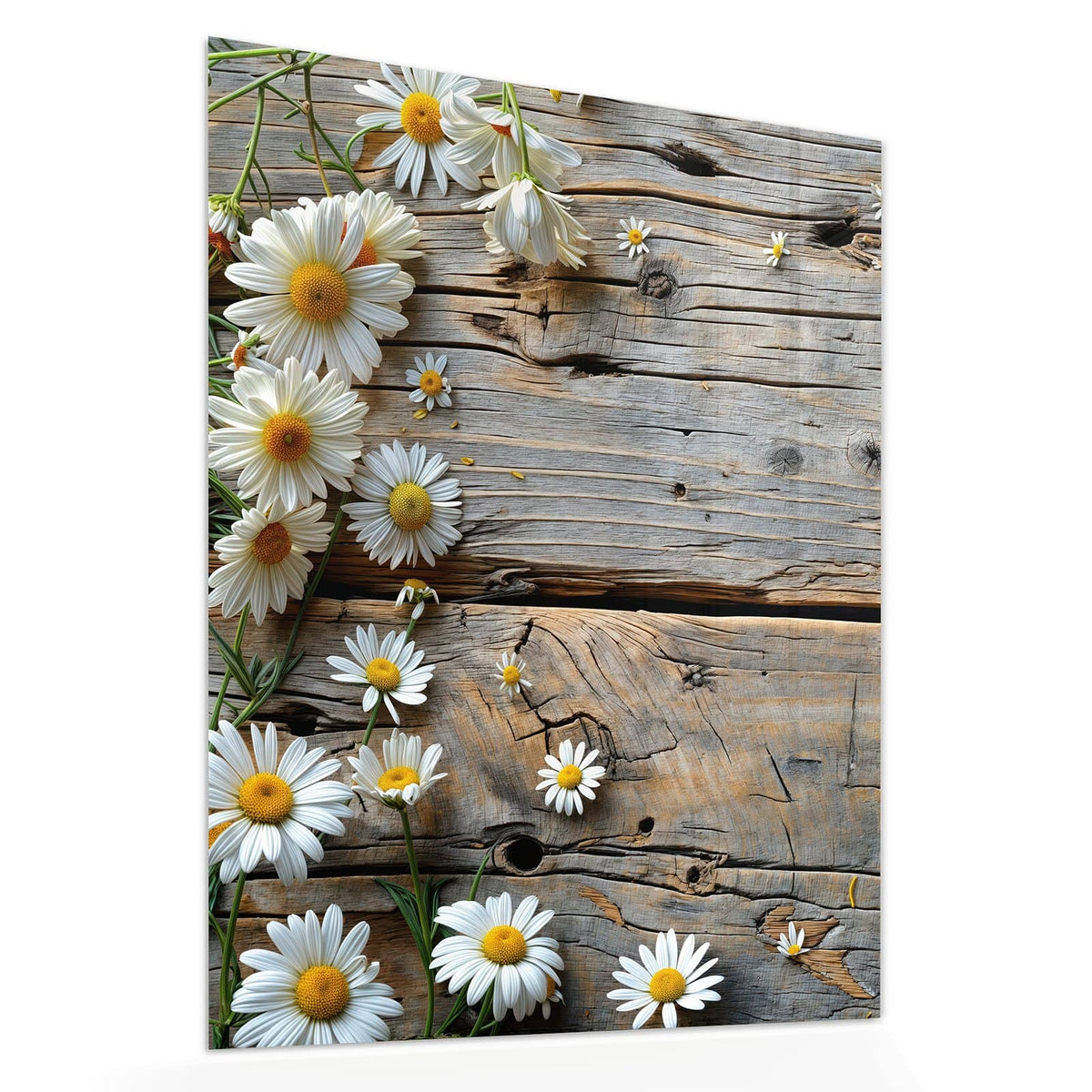 Echtglas, 4 mm – kein Acryl, keine Folie – Wandbild - Gänseblümchen auf Holz - Hochformat