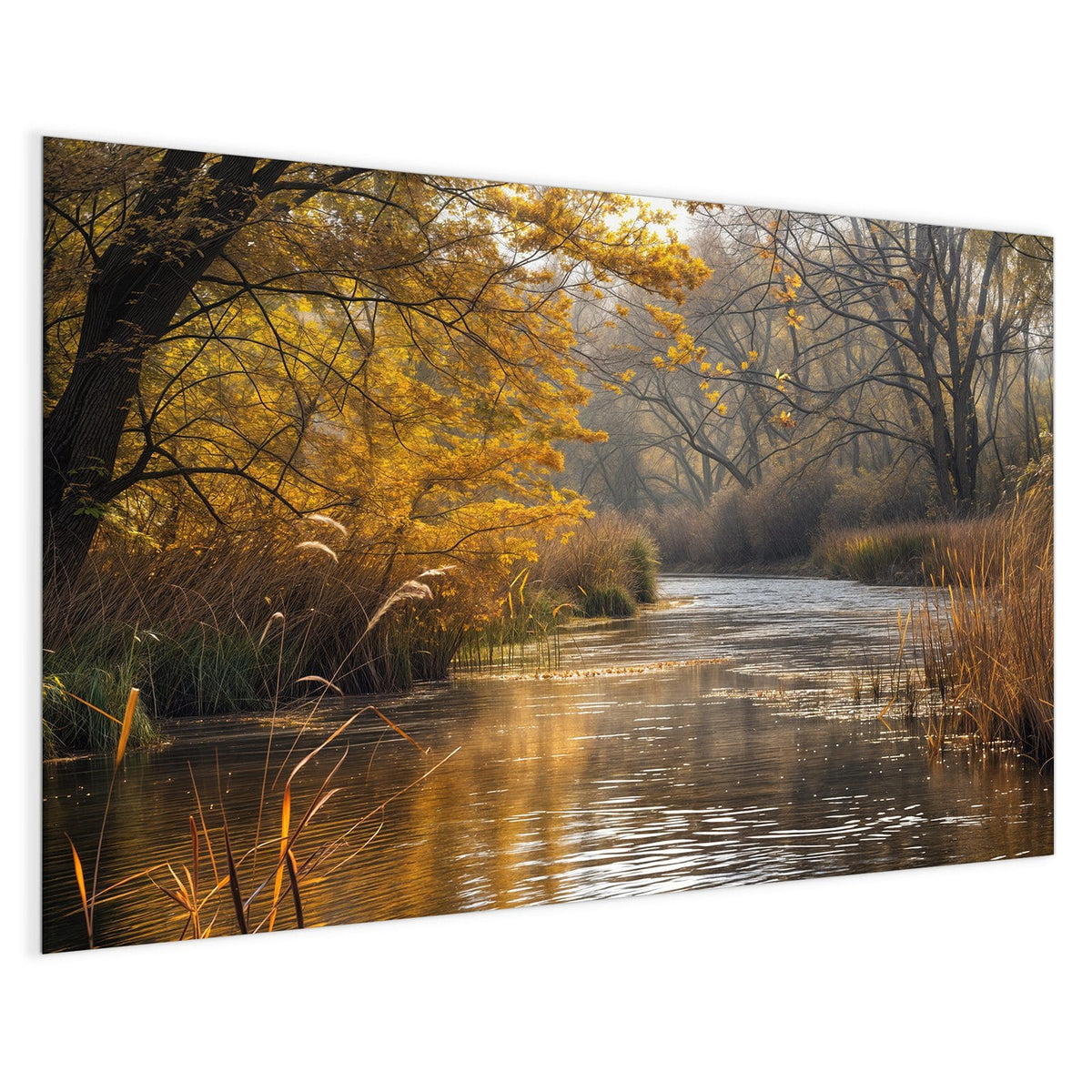 4 mm Glas statt lackiertem Blech – Magnettafel - Schilf am Herbstfluss