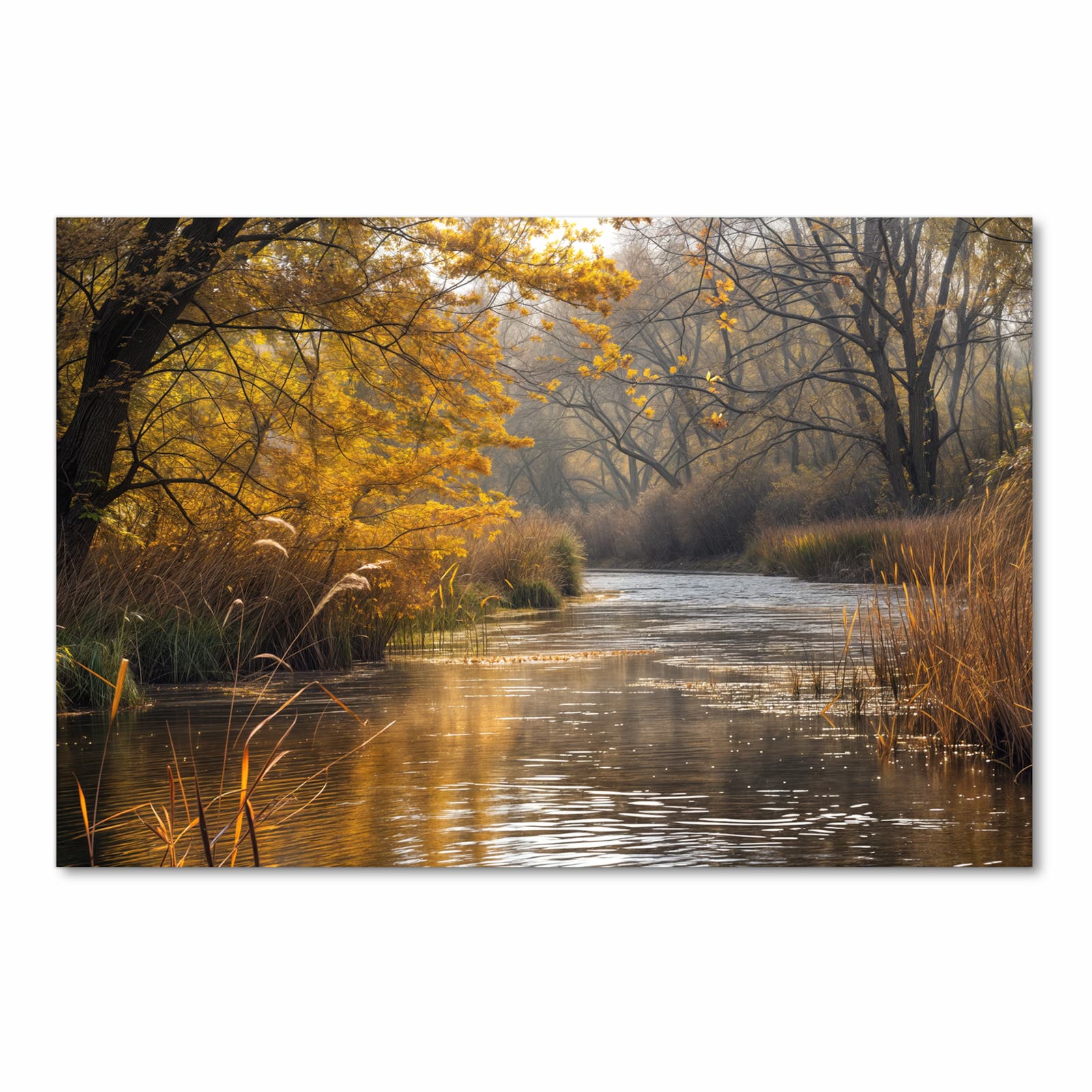 Flacher waschbarer Küchenteppich mit Motiv Herbstliches Ufer in Frontansicht