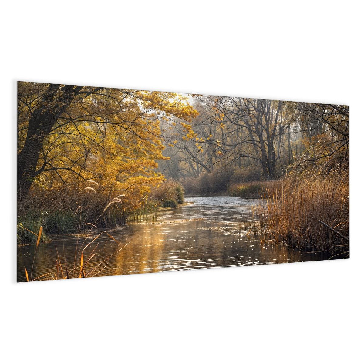 Ruhiger Fluss, am Ufer goldgelbe Bäume und hohe Schilfrispen im Morgenlicht