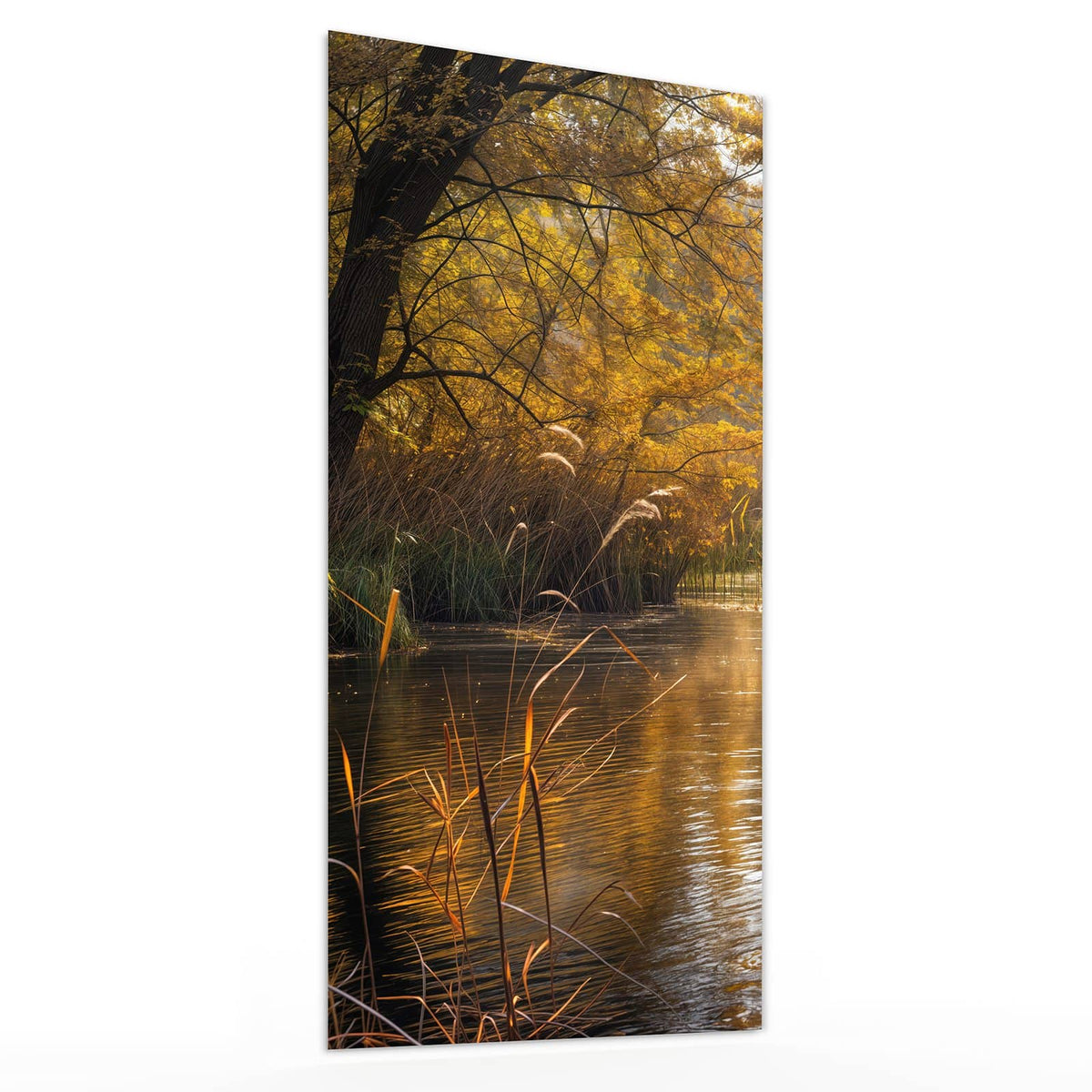 11 Größen – von 30 × 60 bis 60 × 150 cm – Wandbild - Schilf am Herbstfluss - Hochformat