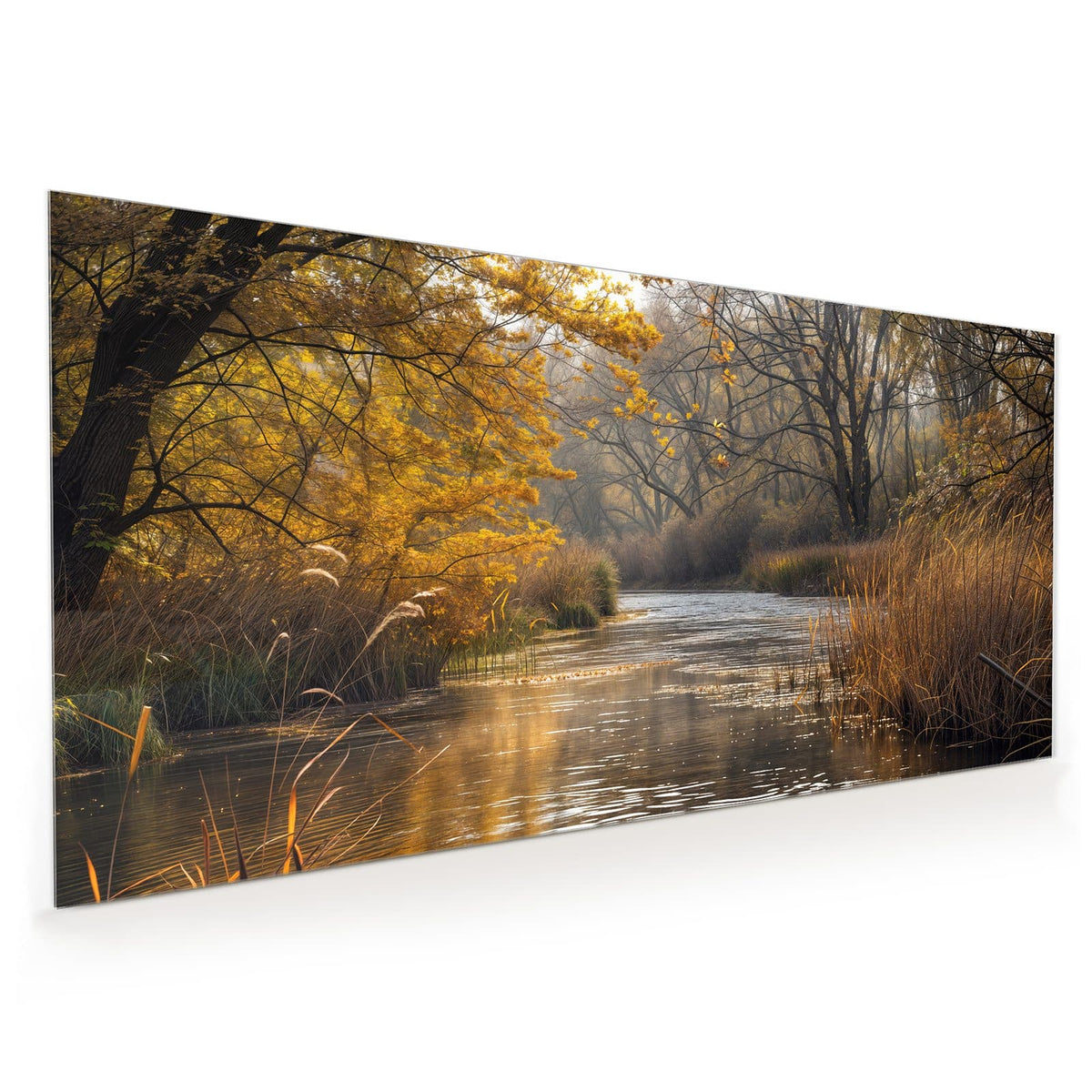 Küchenrückwand aus Glas im Hochformat mit Motiv Schilf am Herbstfluss: Ruhiger Fluss, am Ufer goldgelbe Bäume und hohe Schilfrispen im Morgenlicht