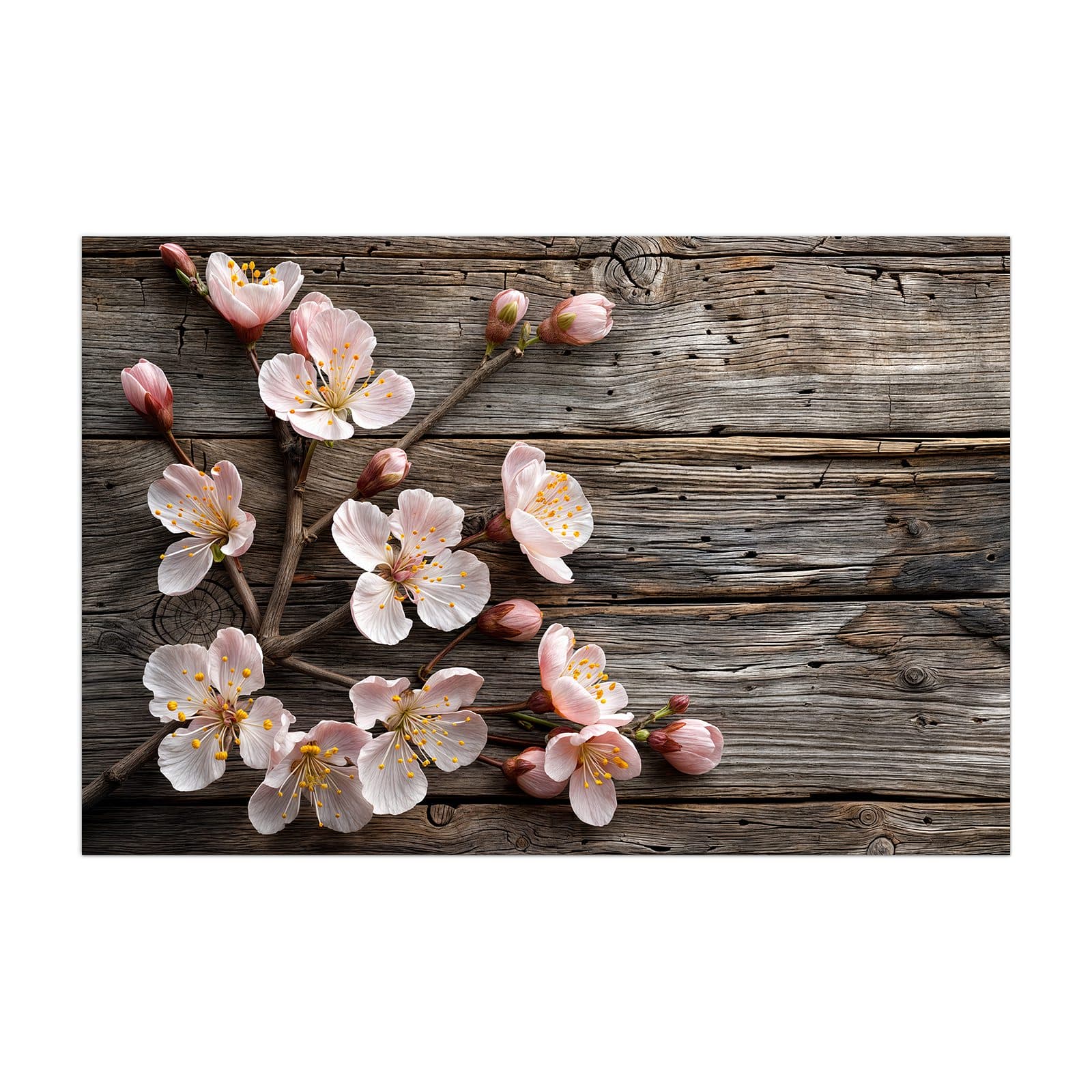 #grösse_40 x 60 cm #grösse_50 x 75 cm #grösse_60 x 90 cm #grösse_80 x 120 cm