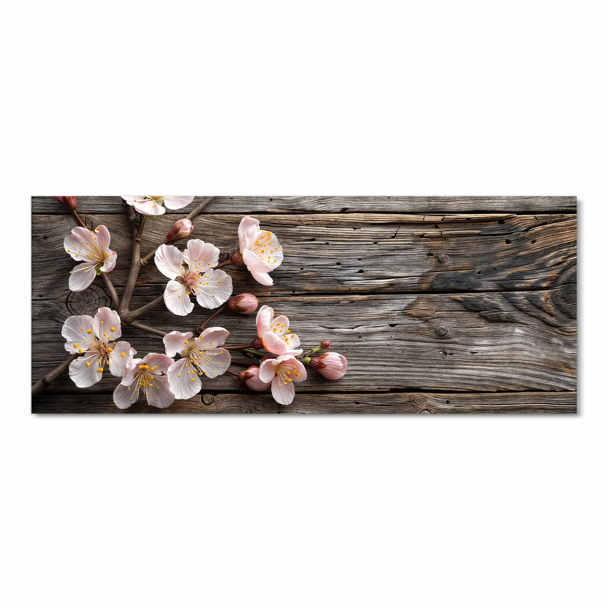 Zweige mit weiß-rosa Blüten und Knospen auf grau verwittertem Holz