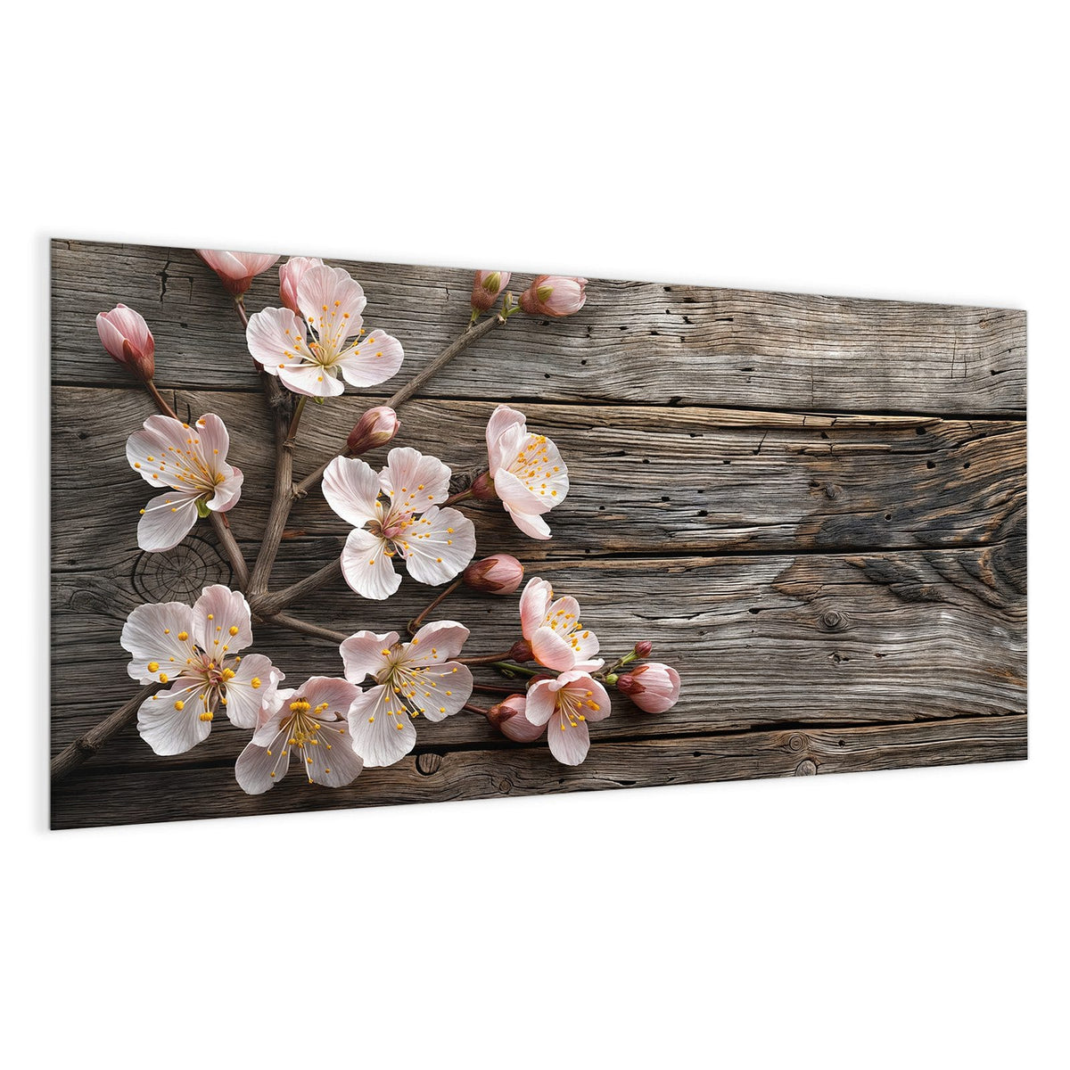 Zweige mit weiß-rosa Blüten und Knospen auf grau verwittertem Holz
