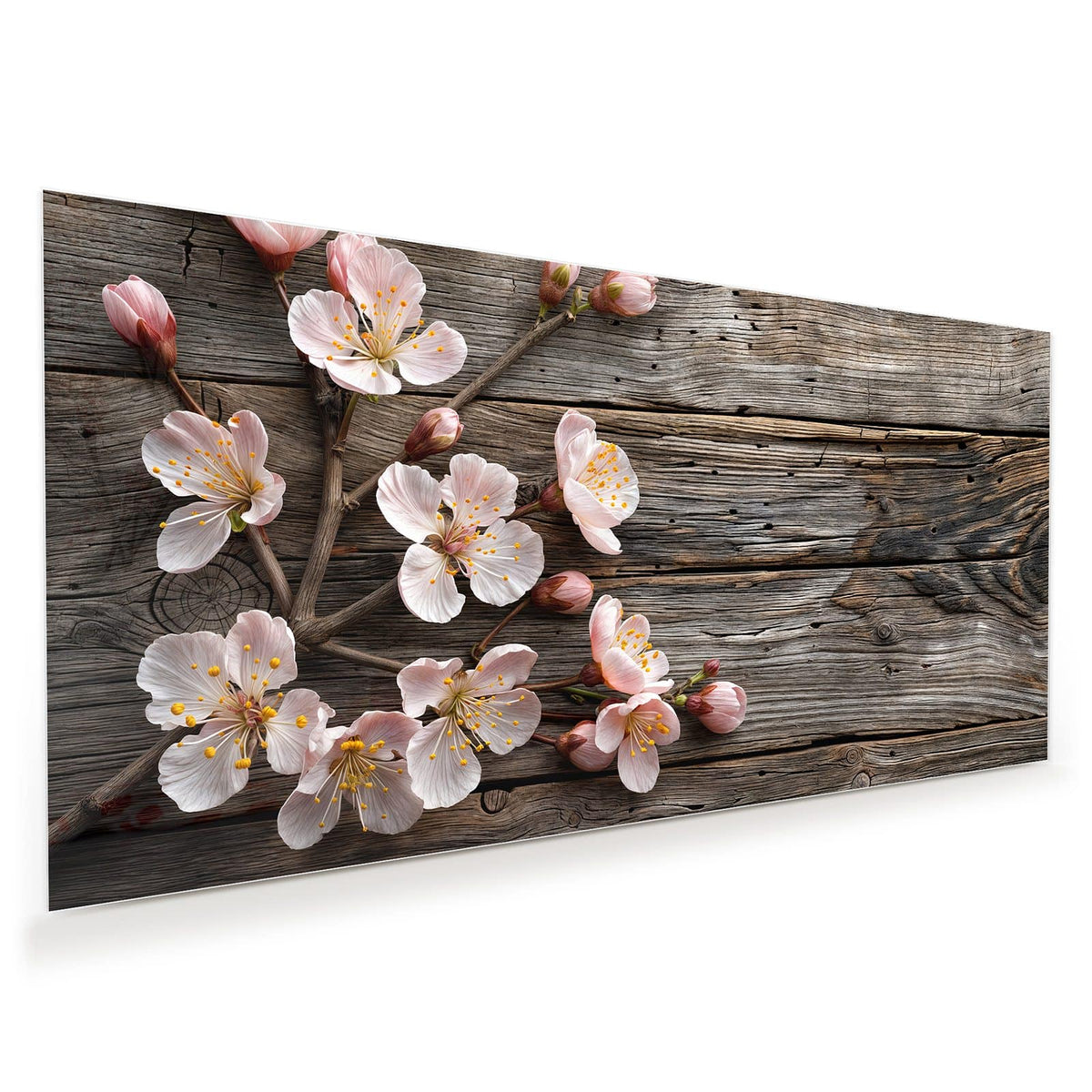 Zweige mit weiß-rosa Blüten und Knospen auf grau verwittertem Holz