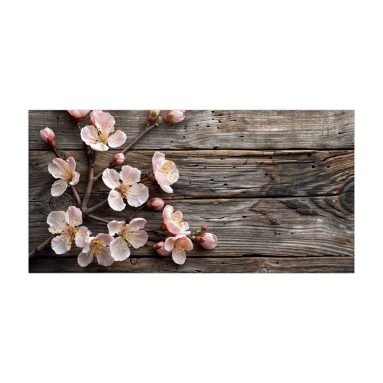 #grösse_40 x 80 cm #grösse_50 x 100 cm #grösse_55 x 110 cm #grösse_60 x 120 cm