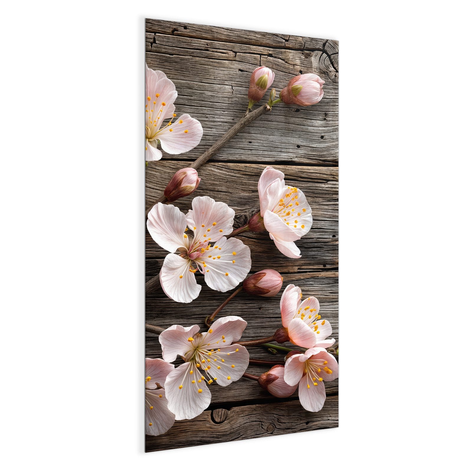 #grösse_50 x 100 cm