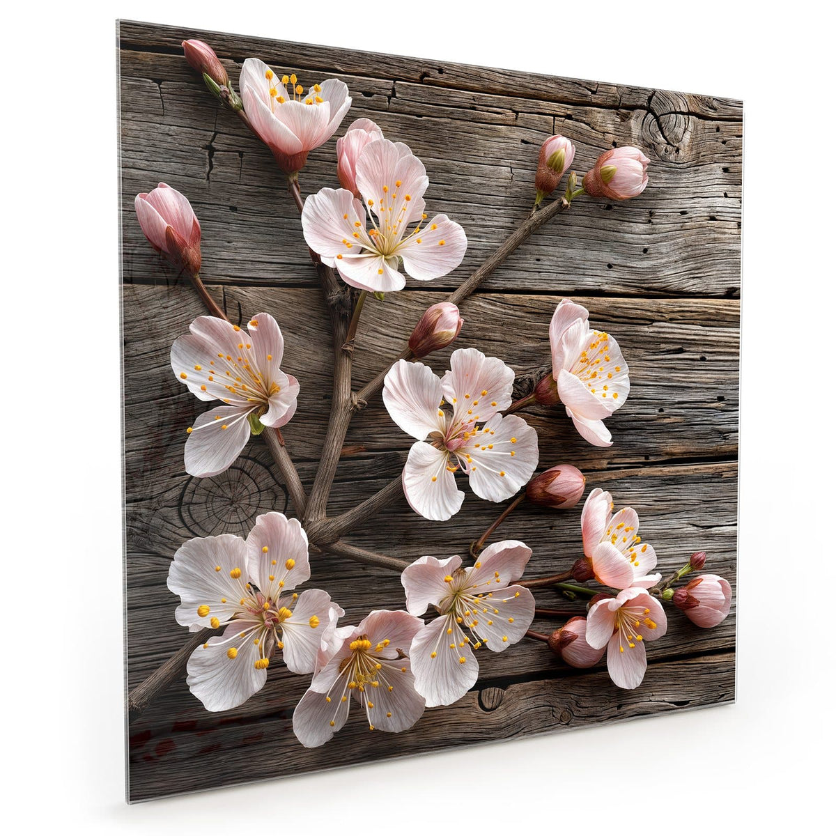 #grösse_40 x 40 cm #grösse_50 x 50 cm #grösse_60 x 60 cm