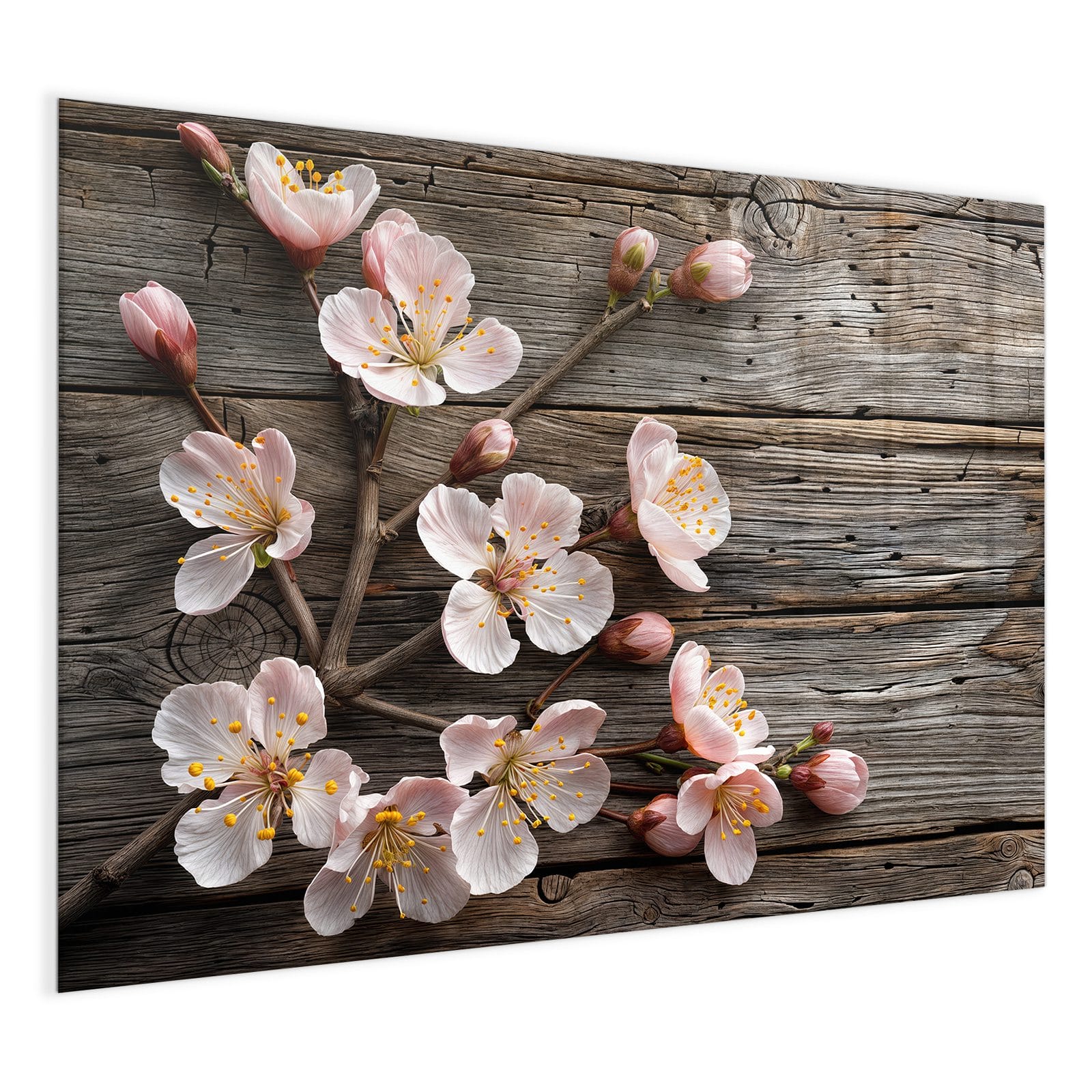 #grösse_120 x 90 cm