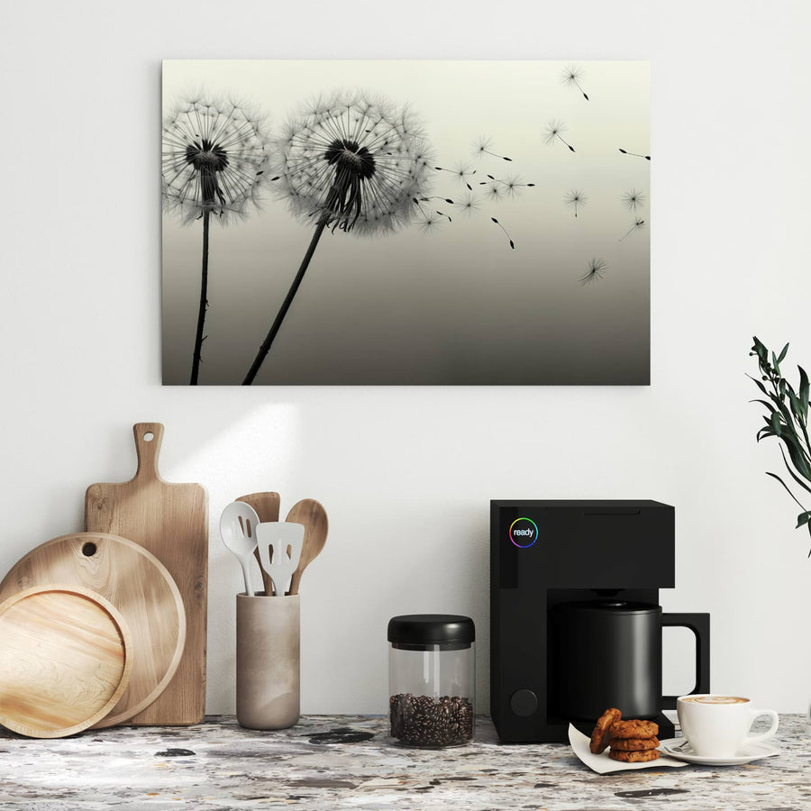 Maße Metall Magnettafel - Pusteblume in Sepia